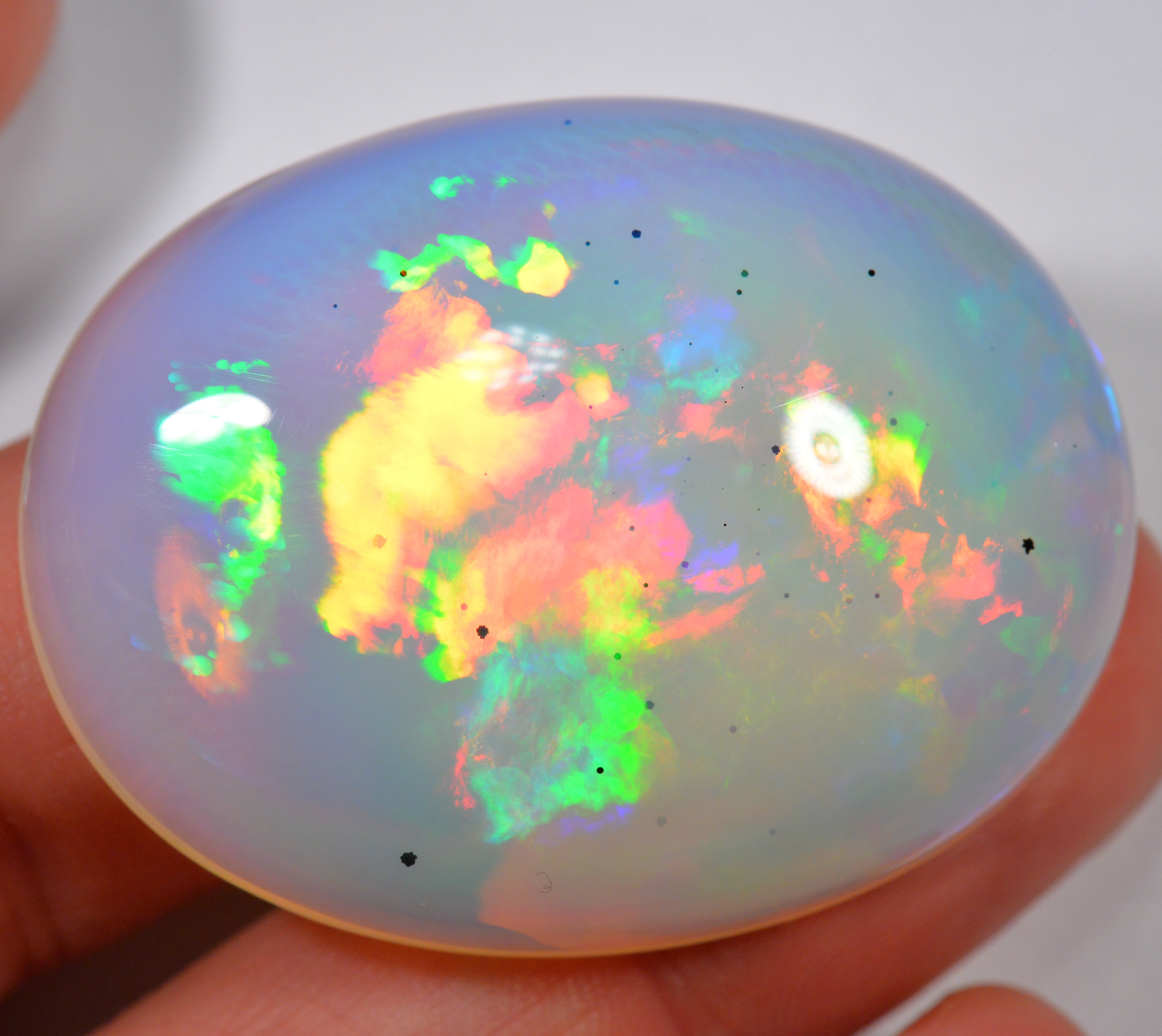 110 Karat - Riesiger Äthiopischer Welo Opal - DeinOpal