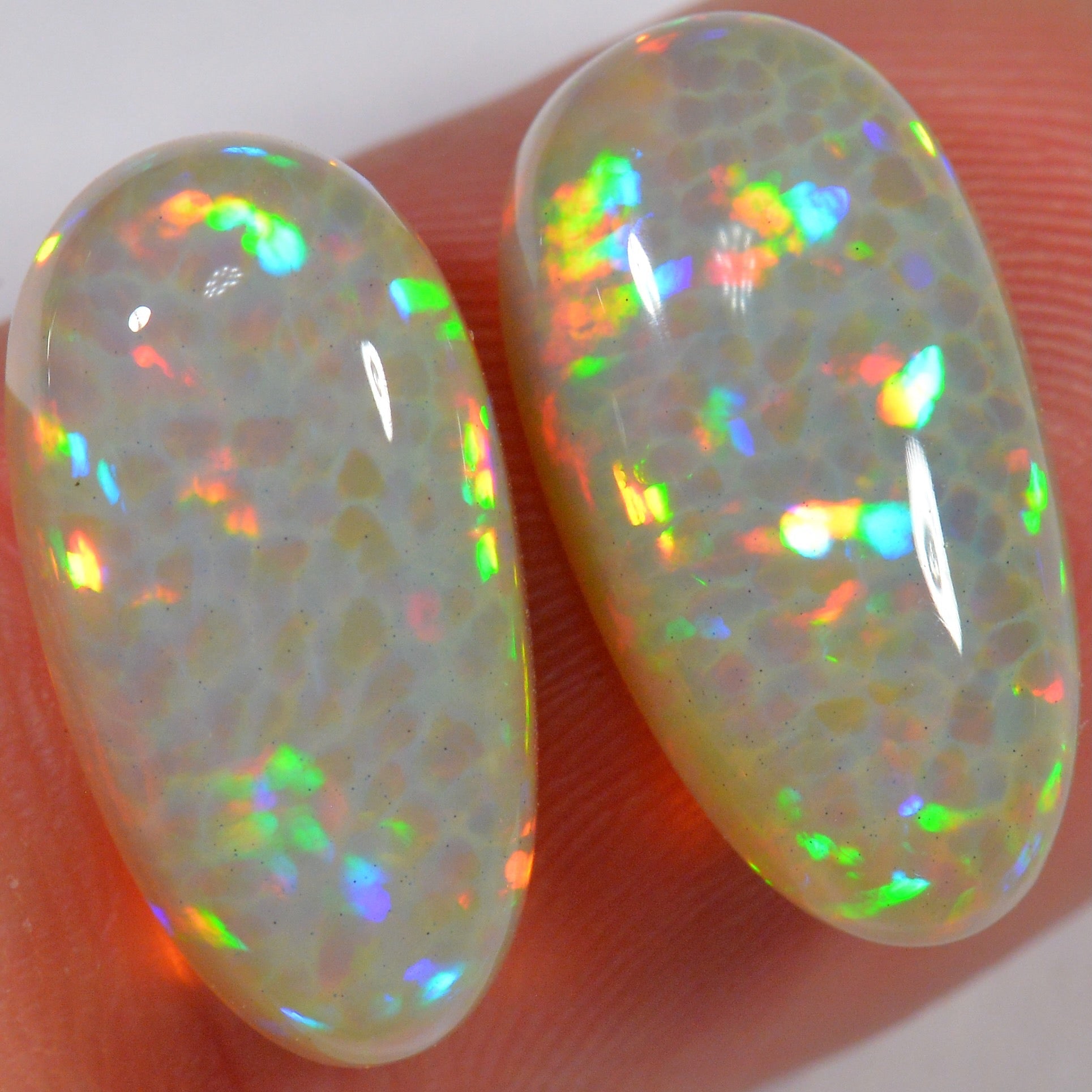 11.7 Karat - Helles Äthiopischer Welo Opal Paar mit Zellenmuster - DeinOpal