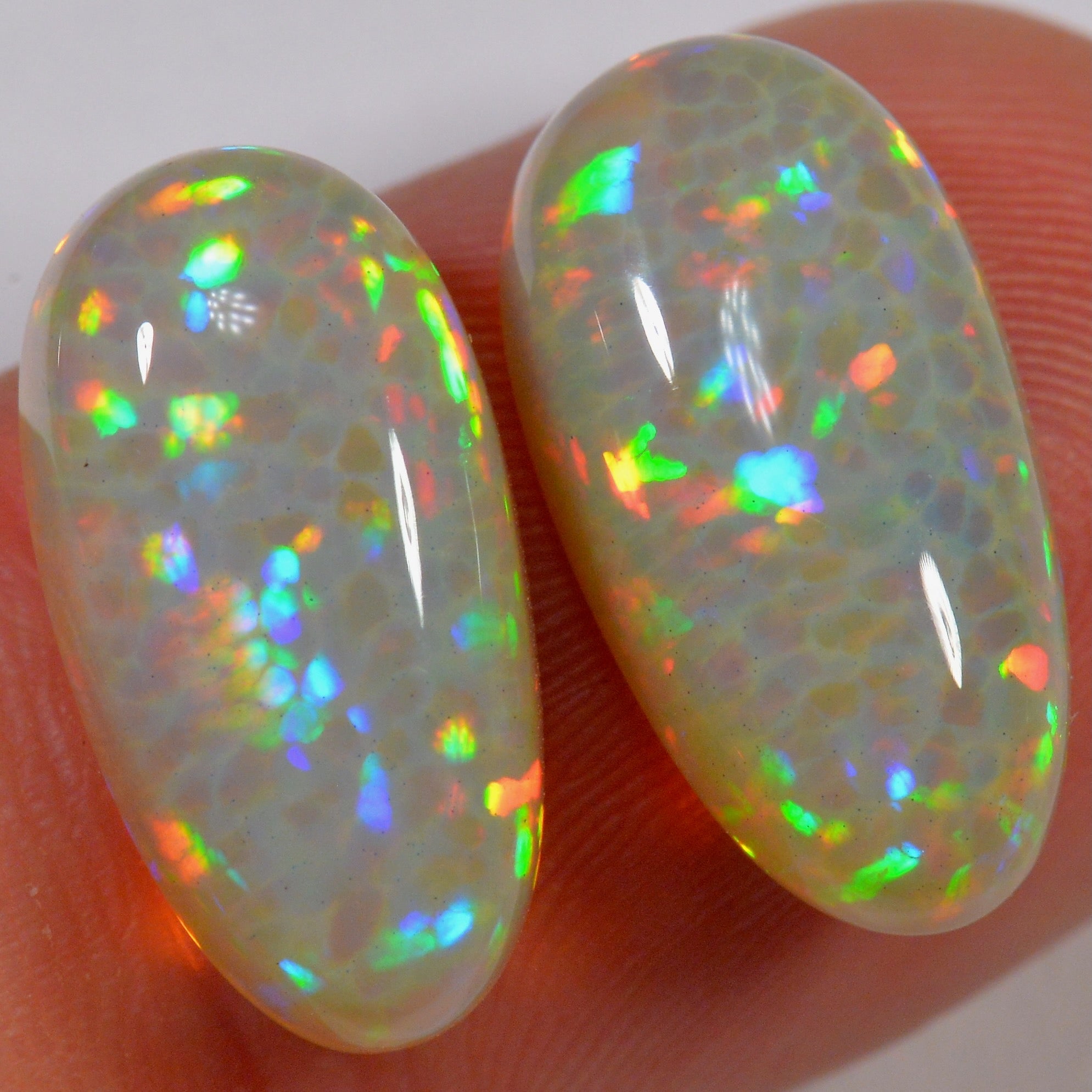 11.7 Karat - Helles Äthiopischer Welo Opal Paar mit Zellenmuster - DeinOpal