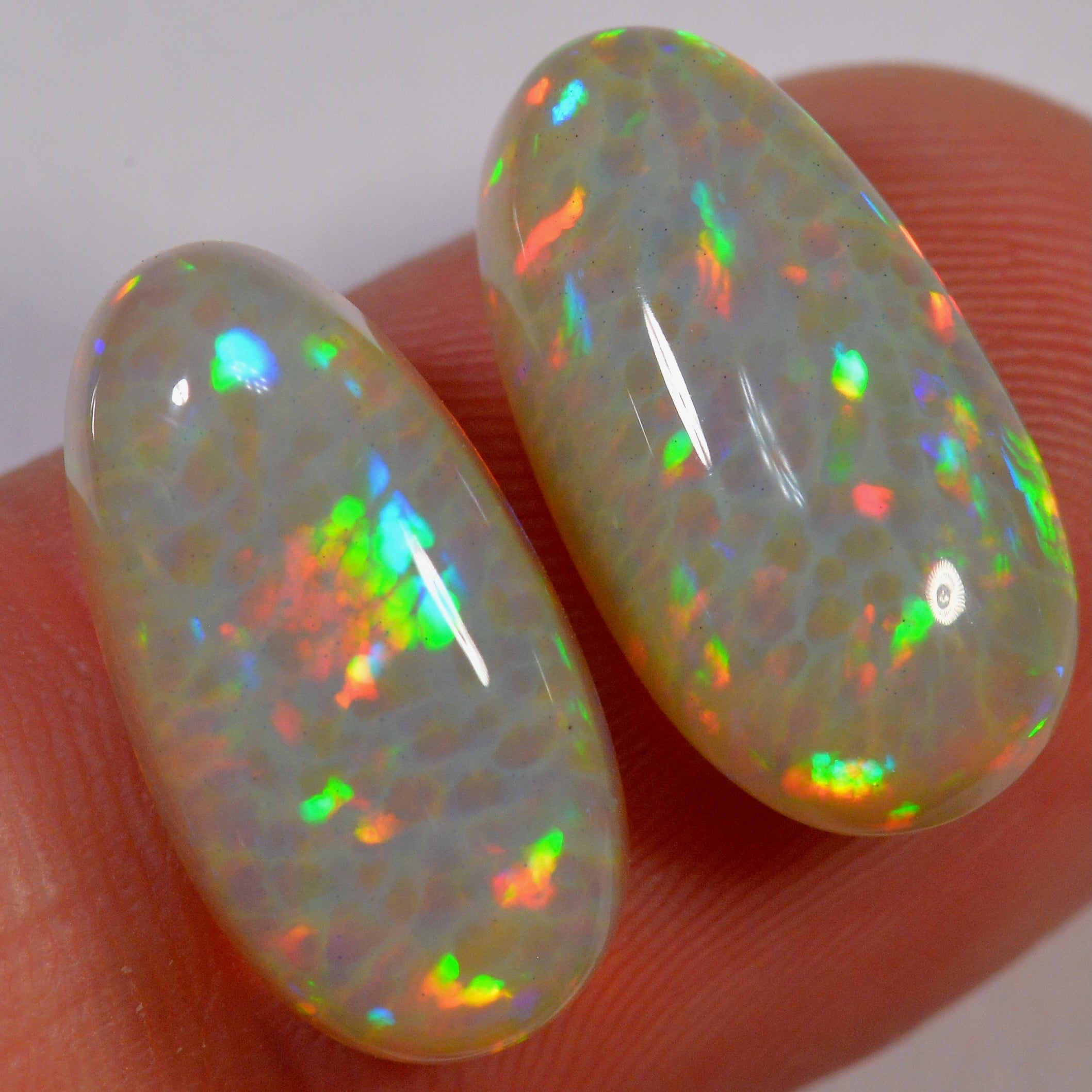 11.7 Karat - Helles Äthiopischer Welo Opal Paar mit Zellenmuster - DeinOpal