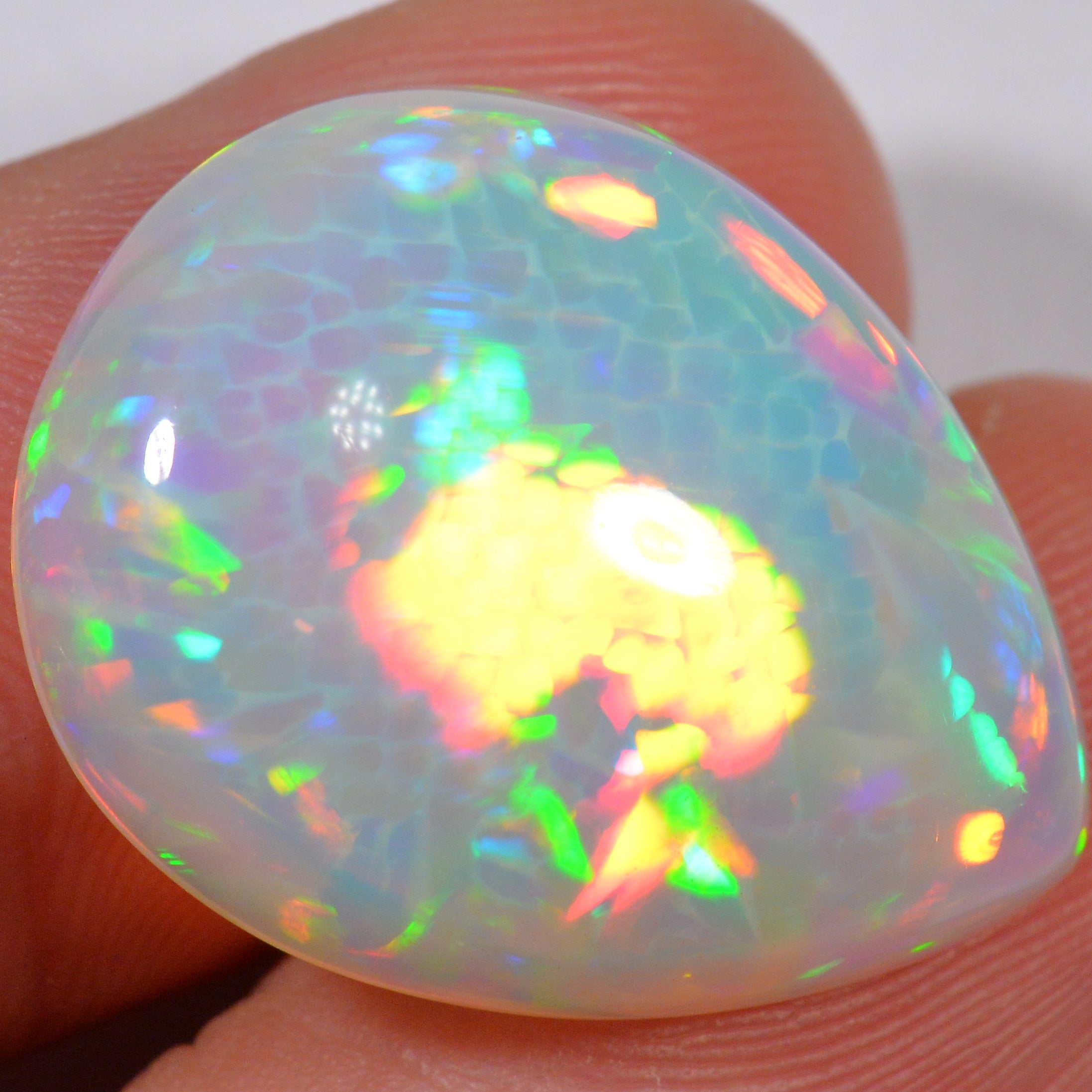14.8 Karat - Sehr schöner Äthiopischer Welo Opal mit Zellenmuster - DeinOpal