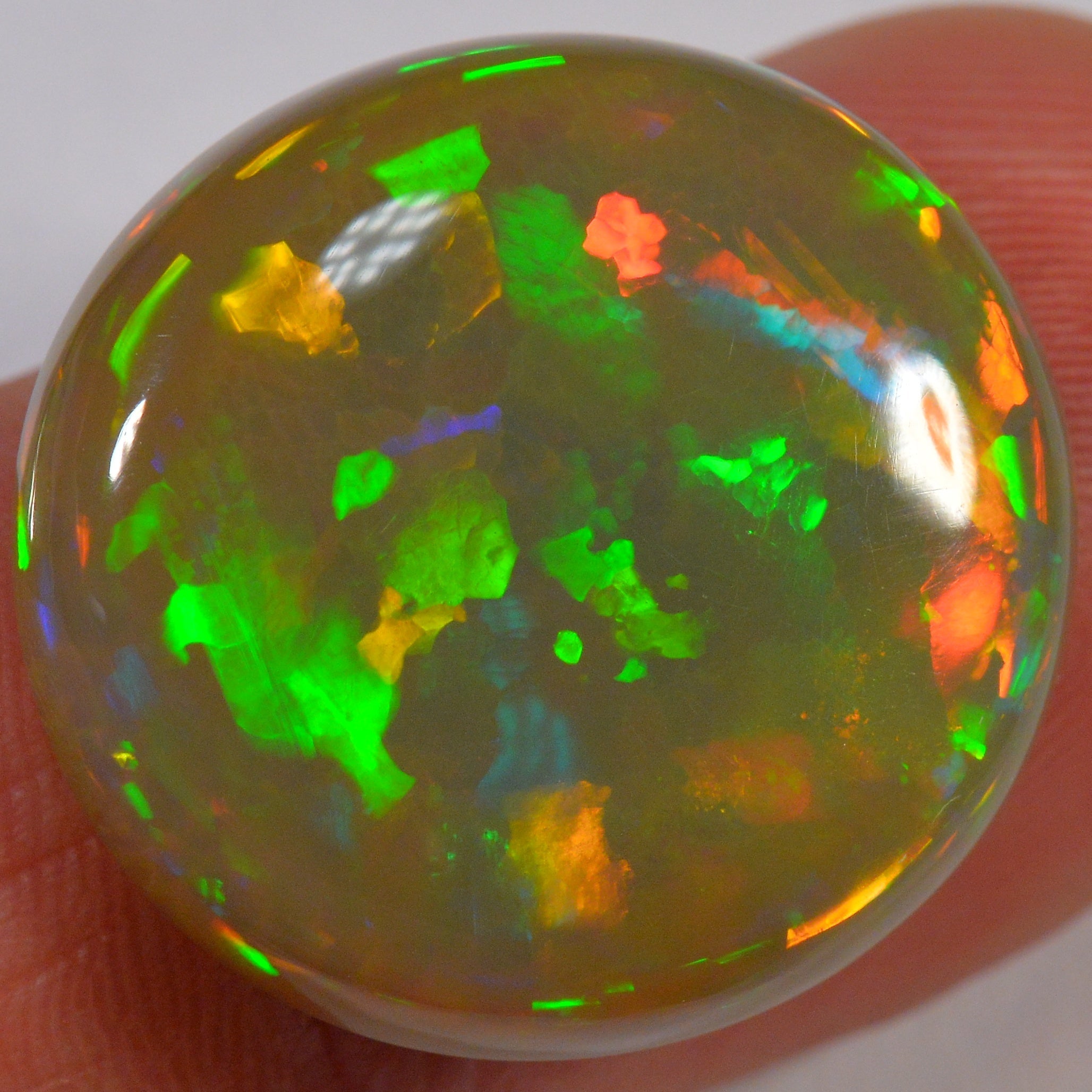 17.3 Karat - Farbenprächtiger Brauner Welo Opal mit 3d Flagstone Muster - DeinOpal