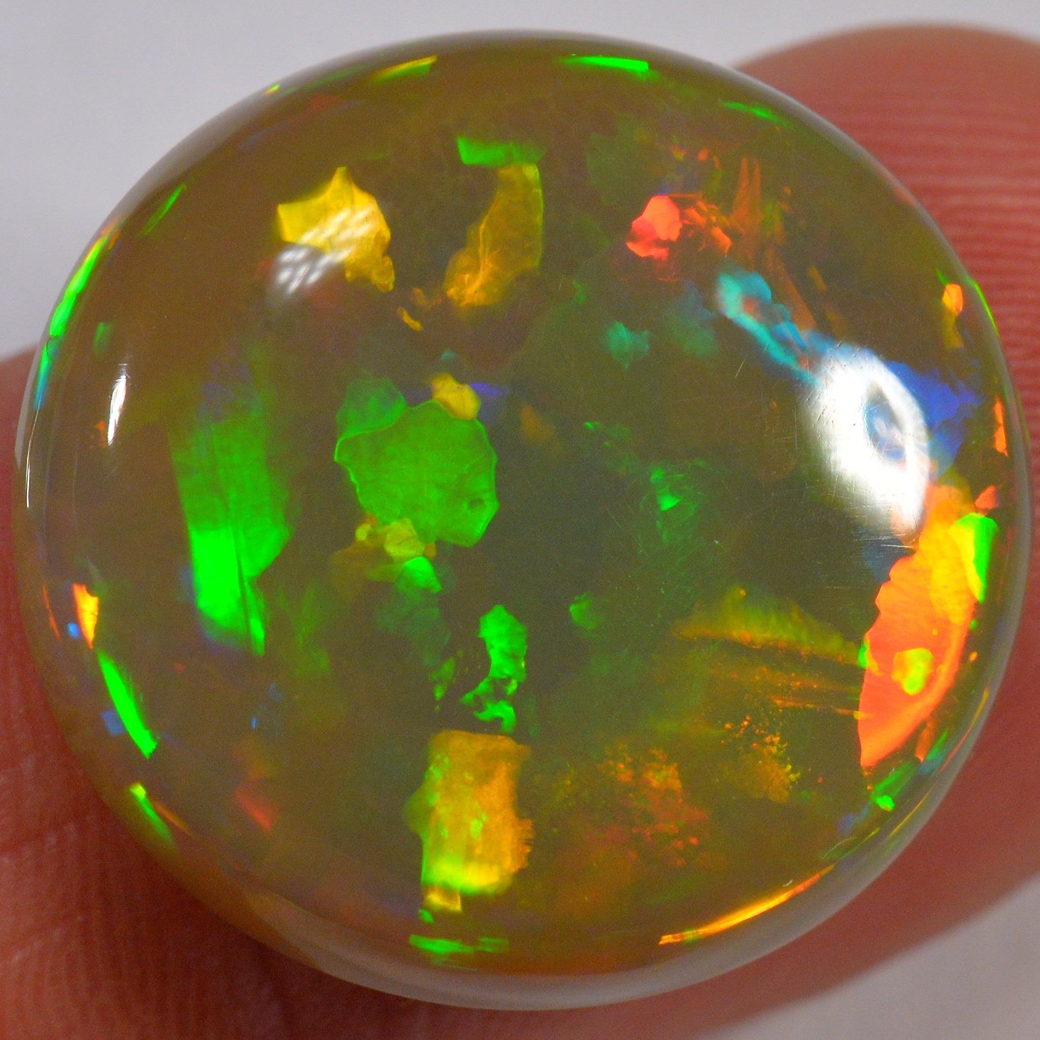17.3 Karat - Farbenprächtiger Brauner Welo Opal mit 3d Flagstone Muster - DeinOpal