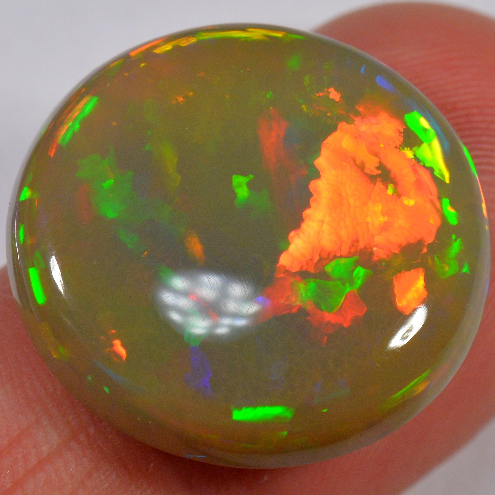 17.3 Karat - Farbenprächtiger Brauner Welo Opal mit 3d Flagstone Muster - DeinOpal