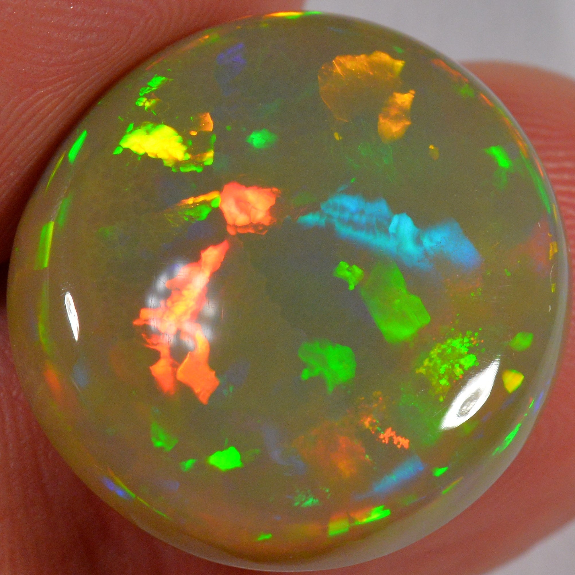 17.3 Karat - Farbenprächtiger Brauner Welo Opal mit 3d Flagstone Muster - DeinOpal