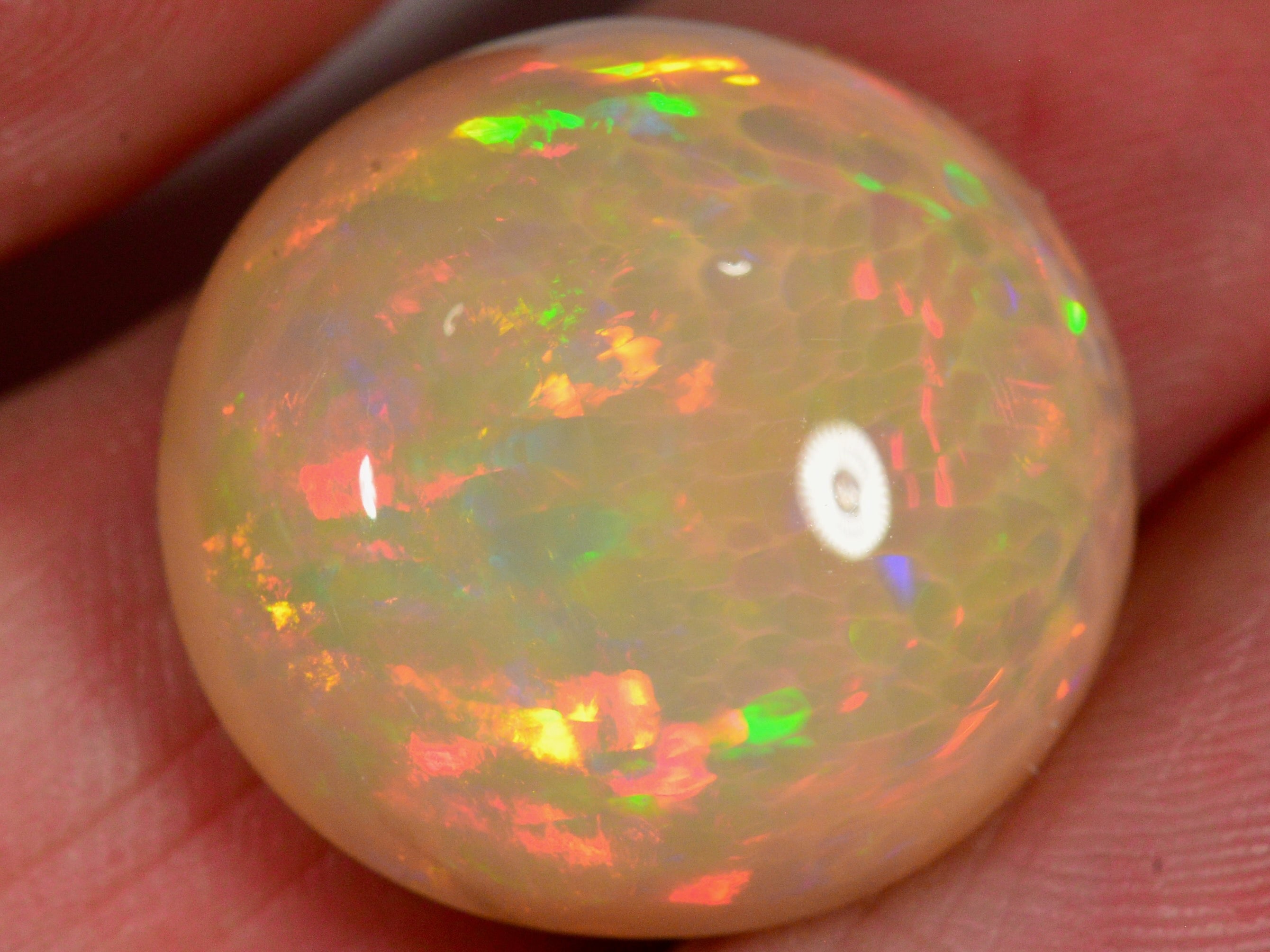 18.8 Karat - Grosser Äthiopischer Welo Opal mit Honeycomb - Muster - DeinOpal