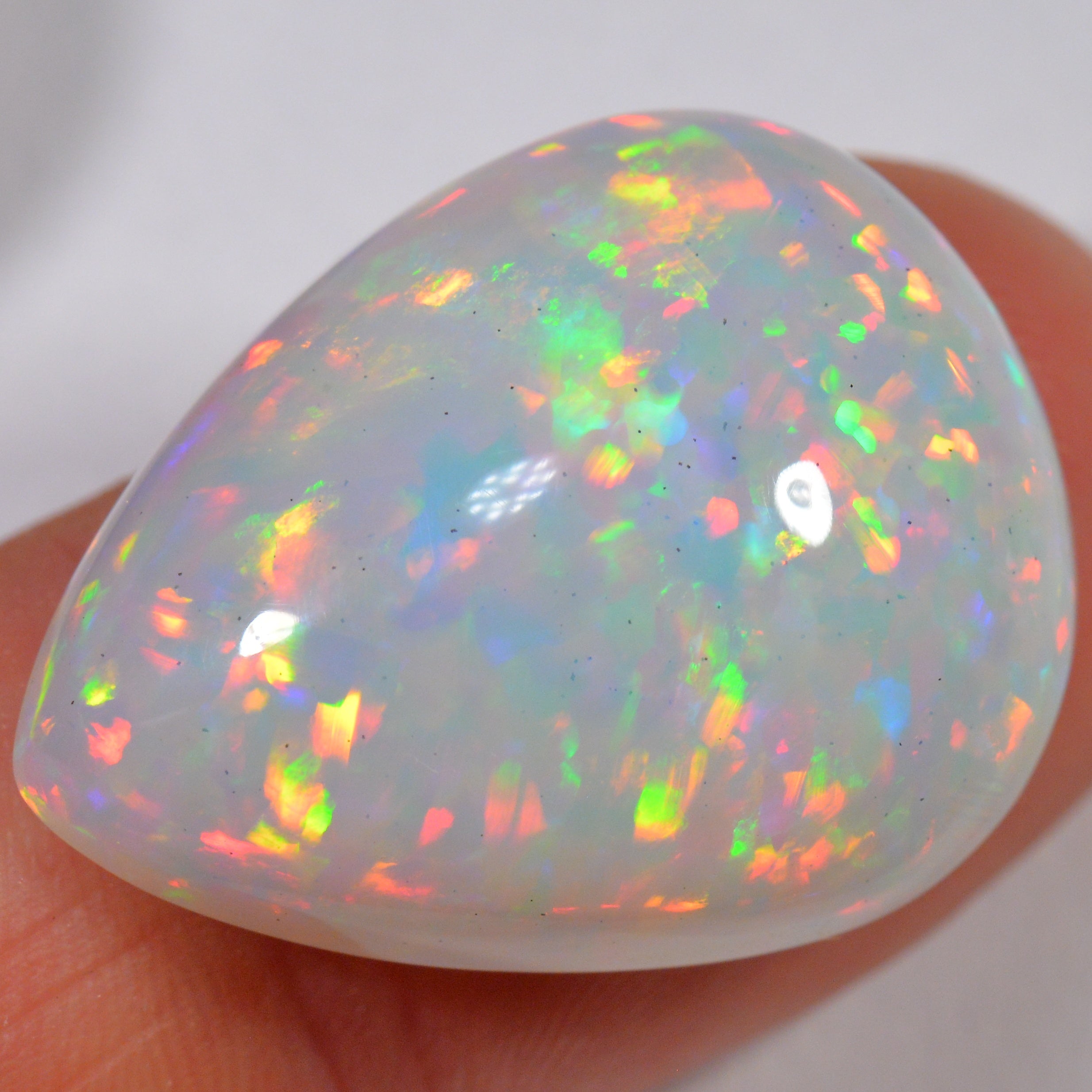 22.4 Karat - Äthiopischer Welo Opal mit Chaff Muster - DeinOpal