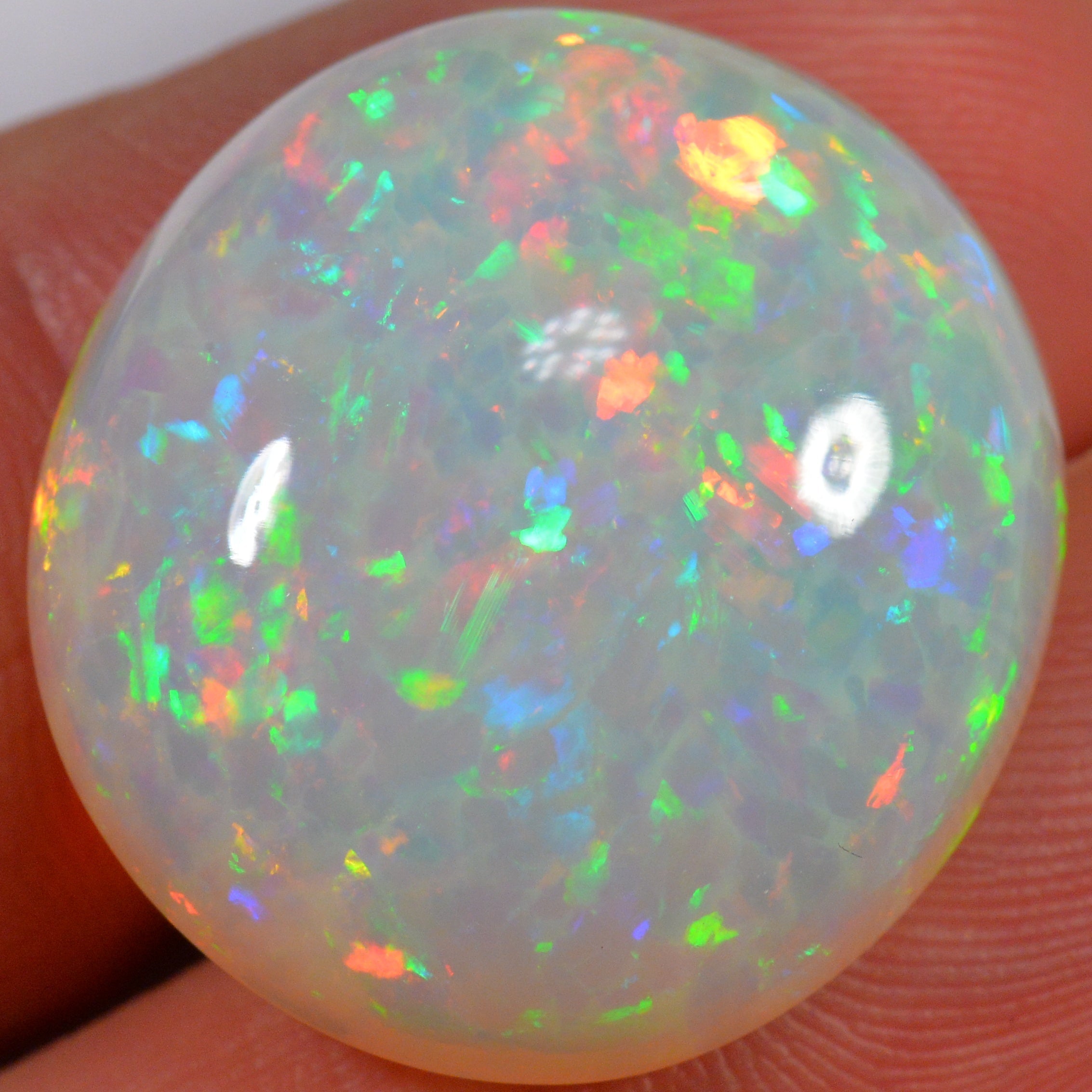 24.6 Karat - Farbintensiver Welo Opal mit Waben - Muster - DeinOpal