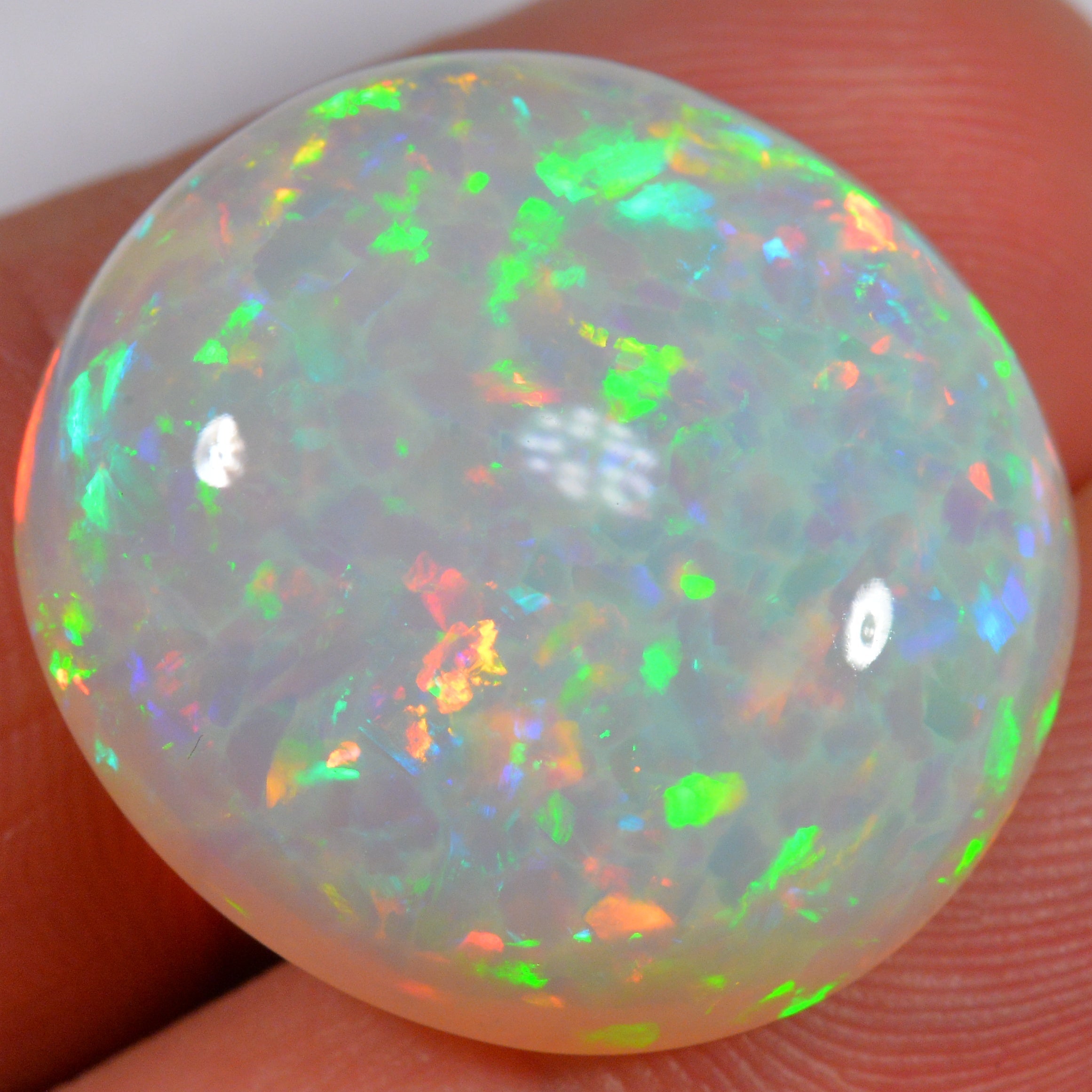24.6 Karat - Farbintensiver Welo Opal mit Waben - Muster - DeinOpal