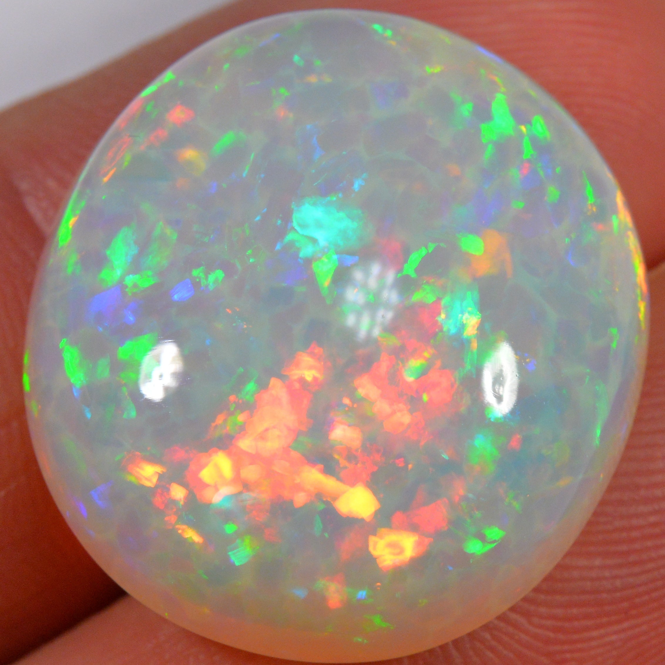 24.6 Karat - Farbintensiver Welo Opal mit Waben - Muster - DeinOpal