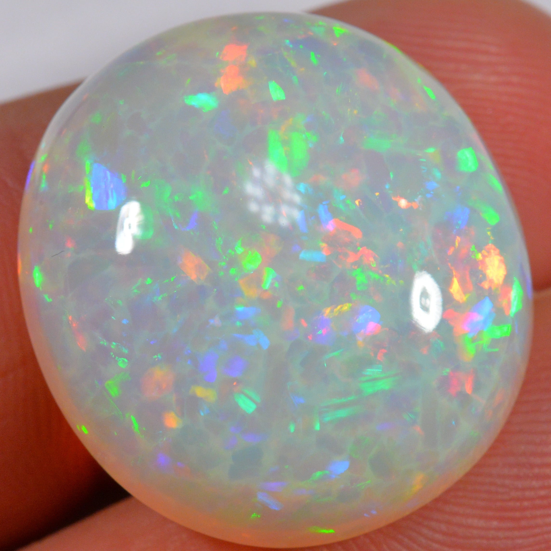 24.6 Karat - Farbintensiver Welo Opal mit Waben - Muster - DeinOpal