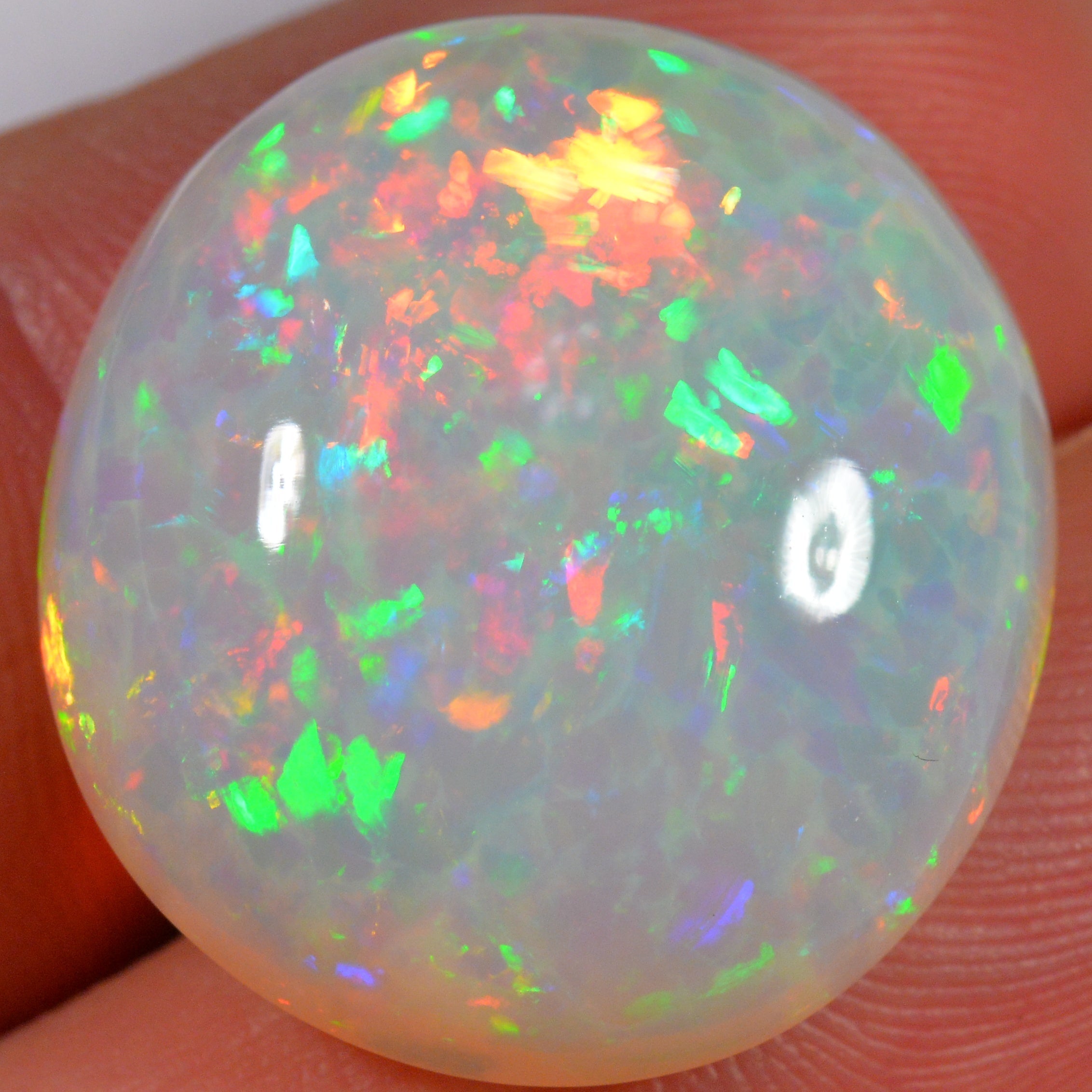 24.6 Karat - Farbintensiver Welo Opal mit Waben - Muster - DeinOpal