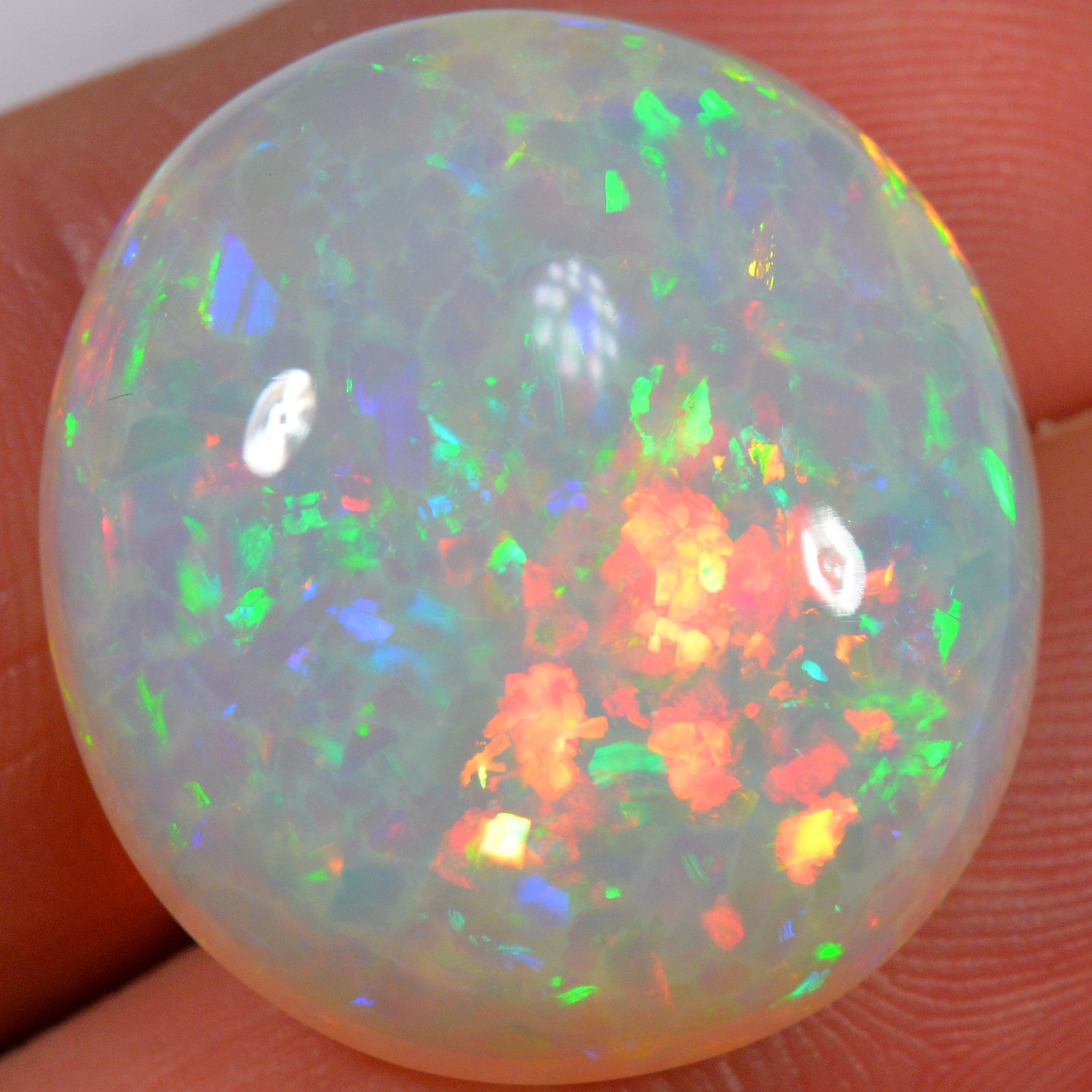 24.6 Karat - Farbintensiver Welo Opal mit Waben - Muster - DeinOpal