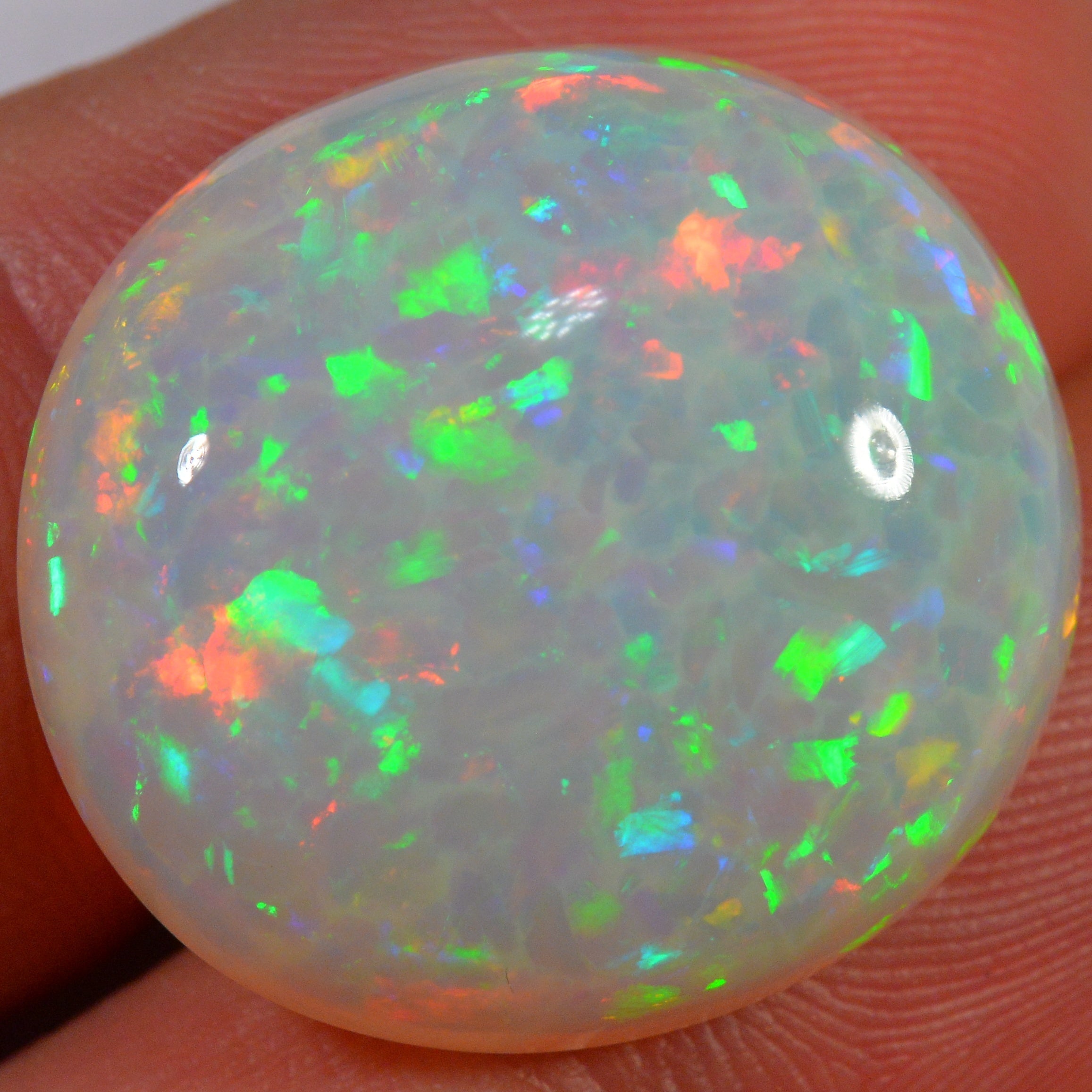 24.6 Karat - Farbintensiver Welo Opal mit Waben - Muster - DeinOpal