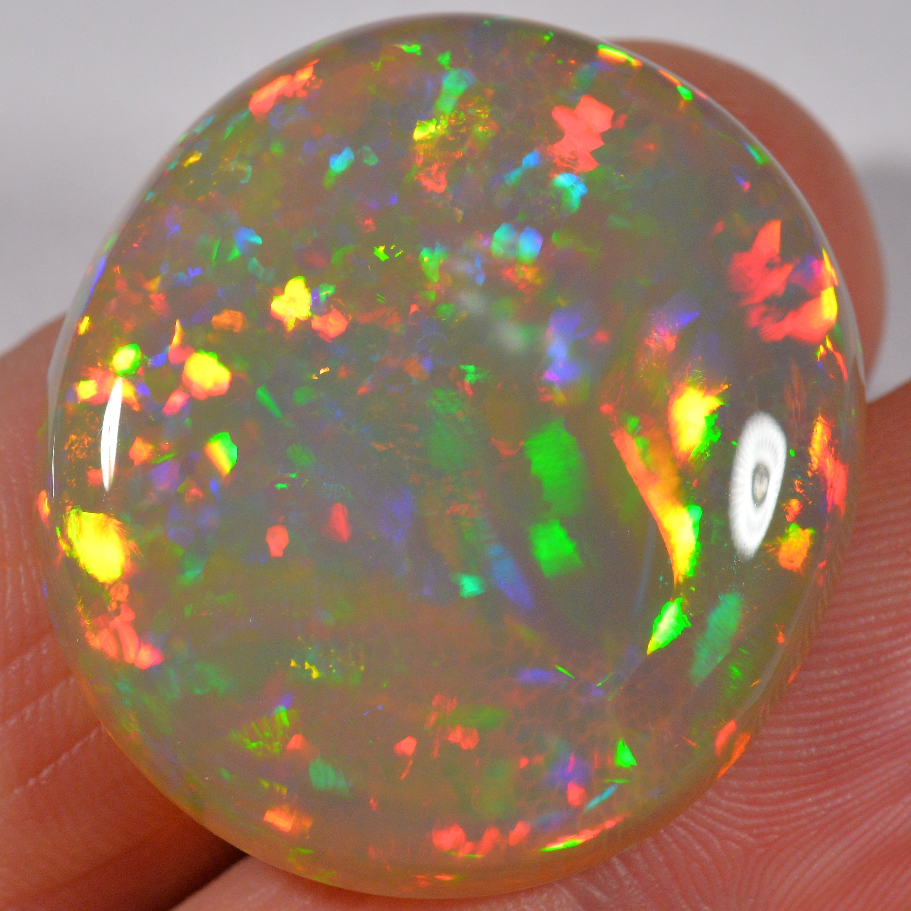 35.8 Karat - Wunderschöner Grosser Dunkler Welo Opal - DeinOpal