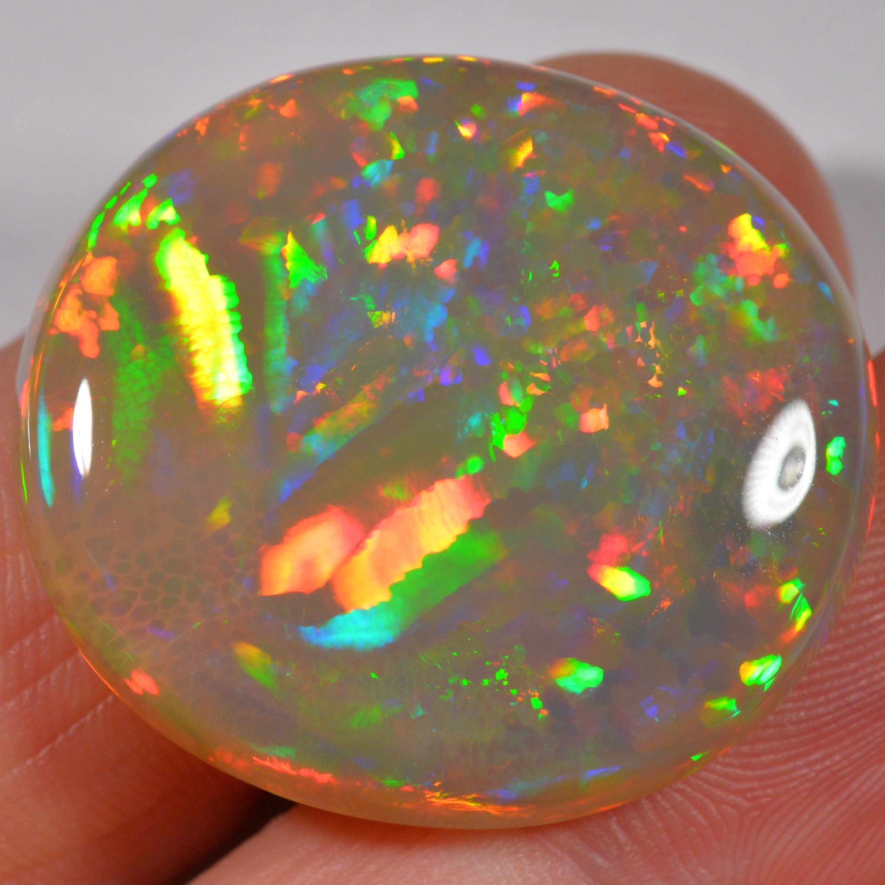 35.8 Karat - Wunderschöner Grosser Dunkler Welo Opal - DeinOpal