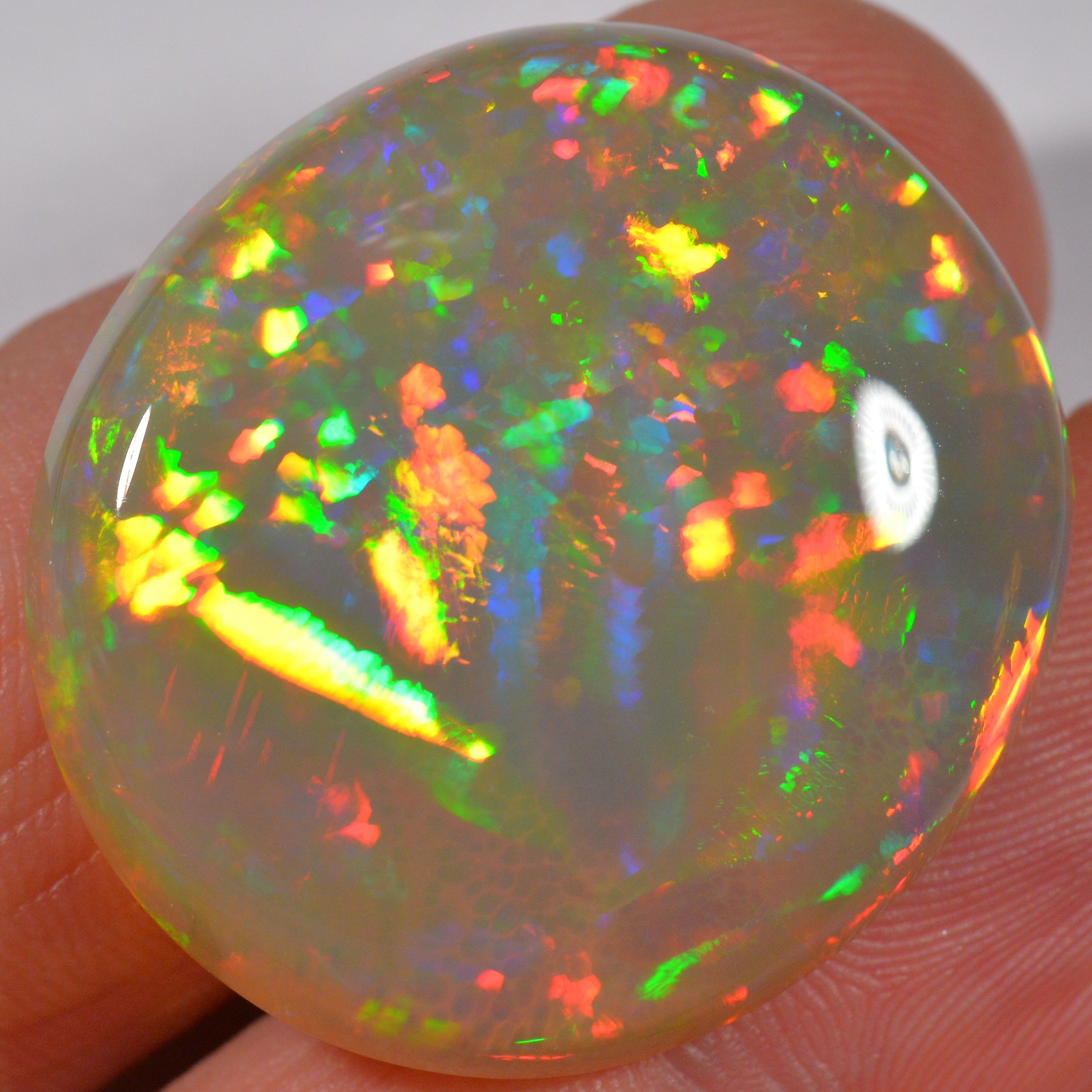 35.8 Karat - Wunderschöner Grosser Dunkler Welo Opal - DeinOpal