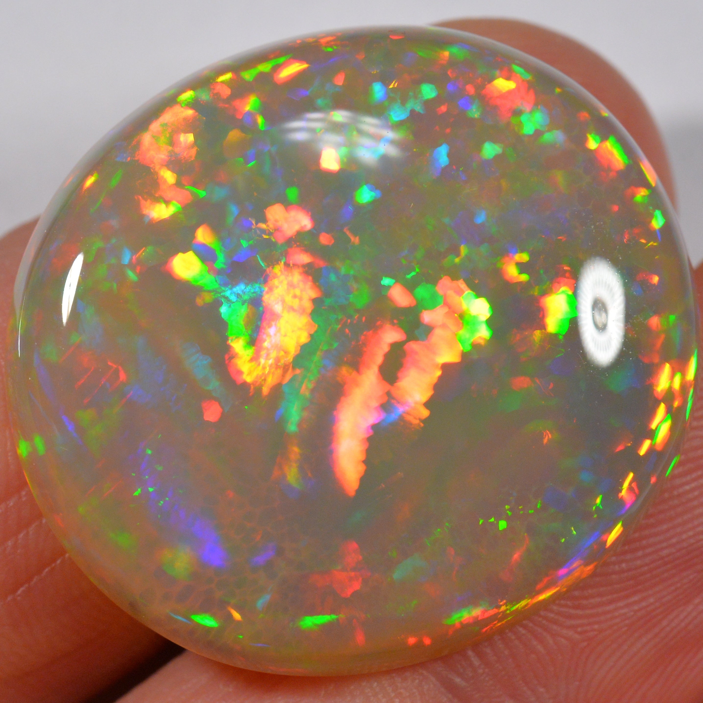 35.8 Karat - Wunderschöner Grosser Dunkler Welo Opal - DeinOpal