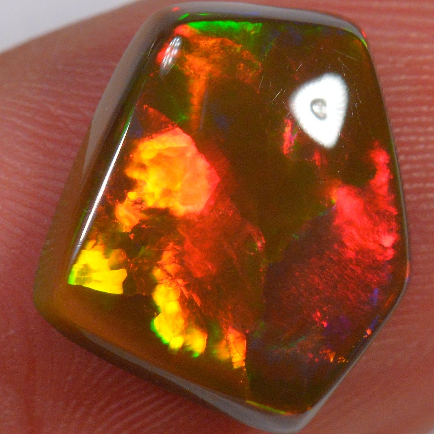 3.7 Karat - Natürlicher Brauner Äthiopischer Welo Opal - DeinOpal
