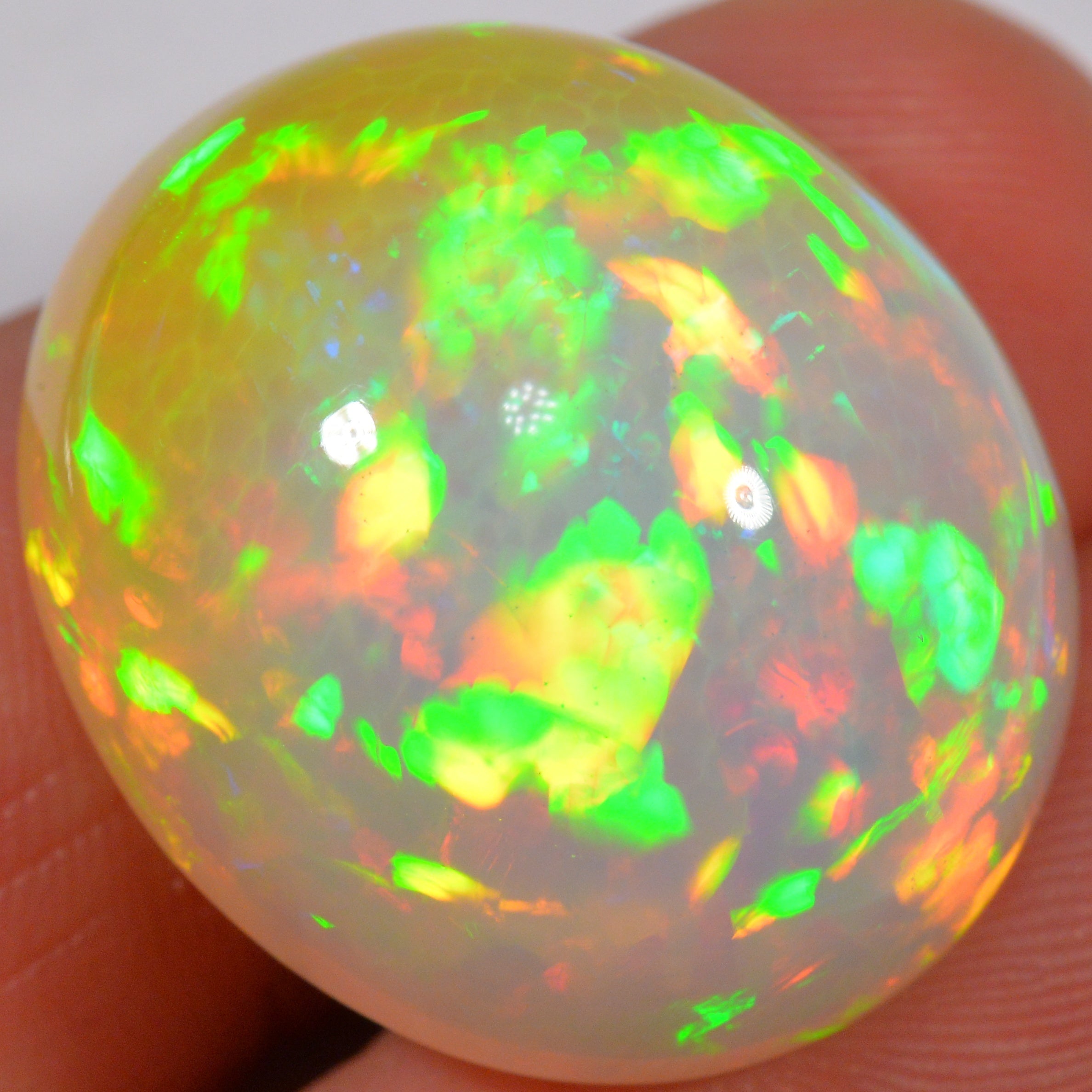 39.5 Karat - Sehr schöner äthiopischer Welo Opal - DeinOpal
