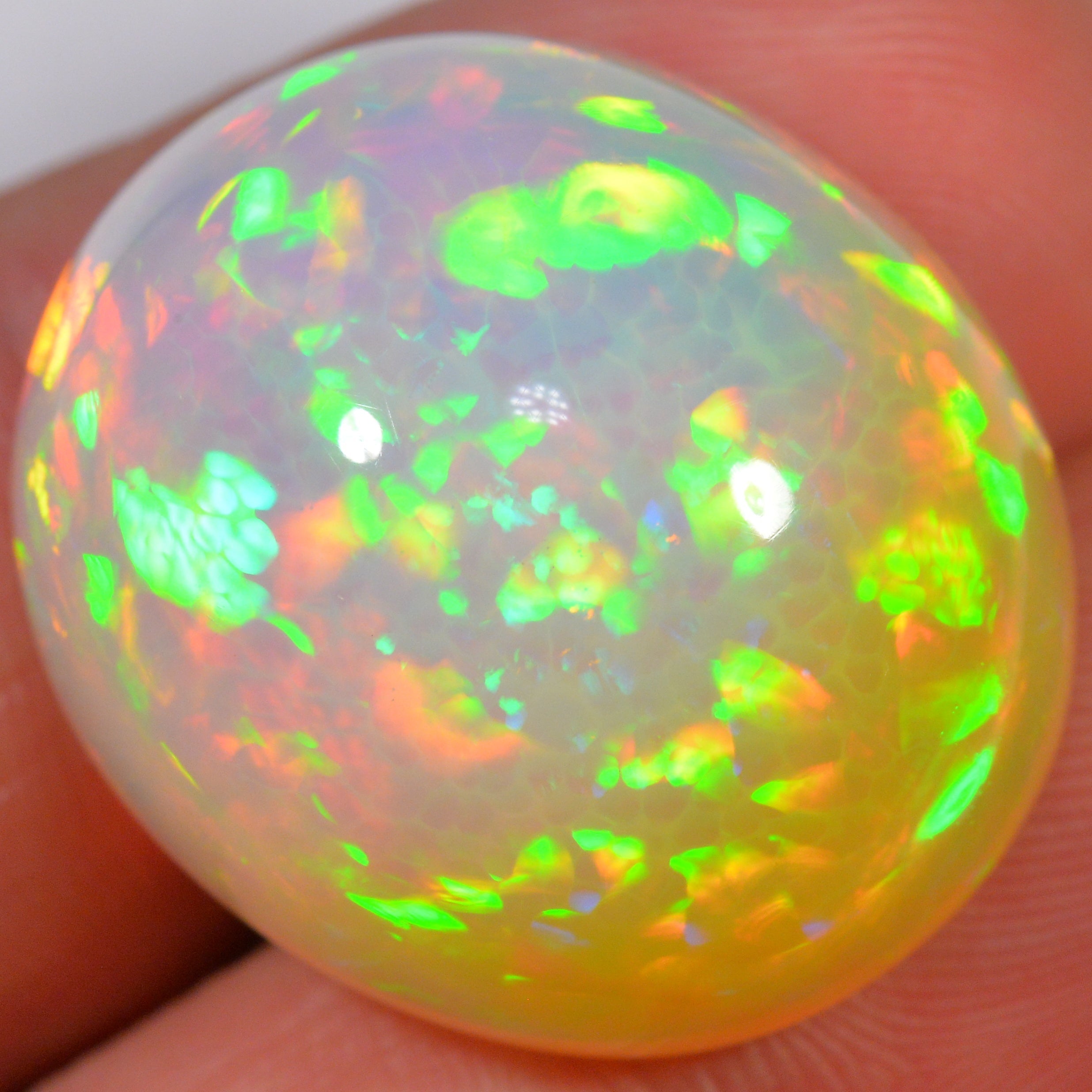 39.5 Karat - Sehr schöner äthiopischer Welo Opal - DeinOpal