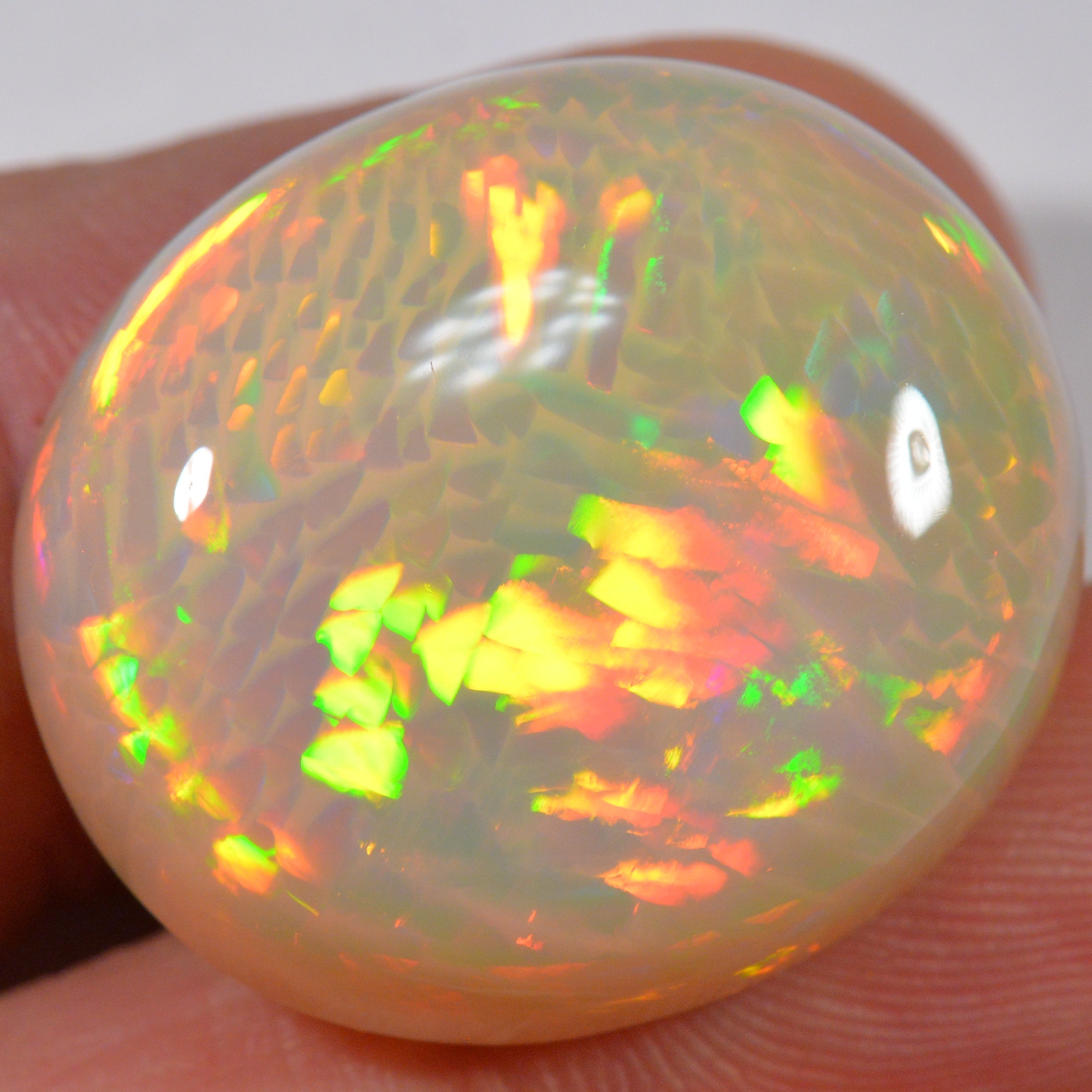 39.9 Karat - Riesiger Äthiopischer Welo Opal mit Fishscale Pattern - DeinOpal
