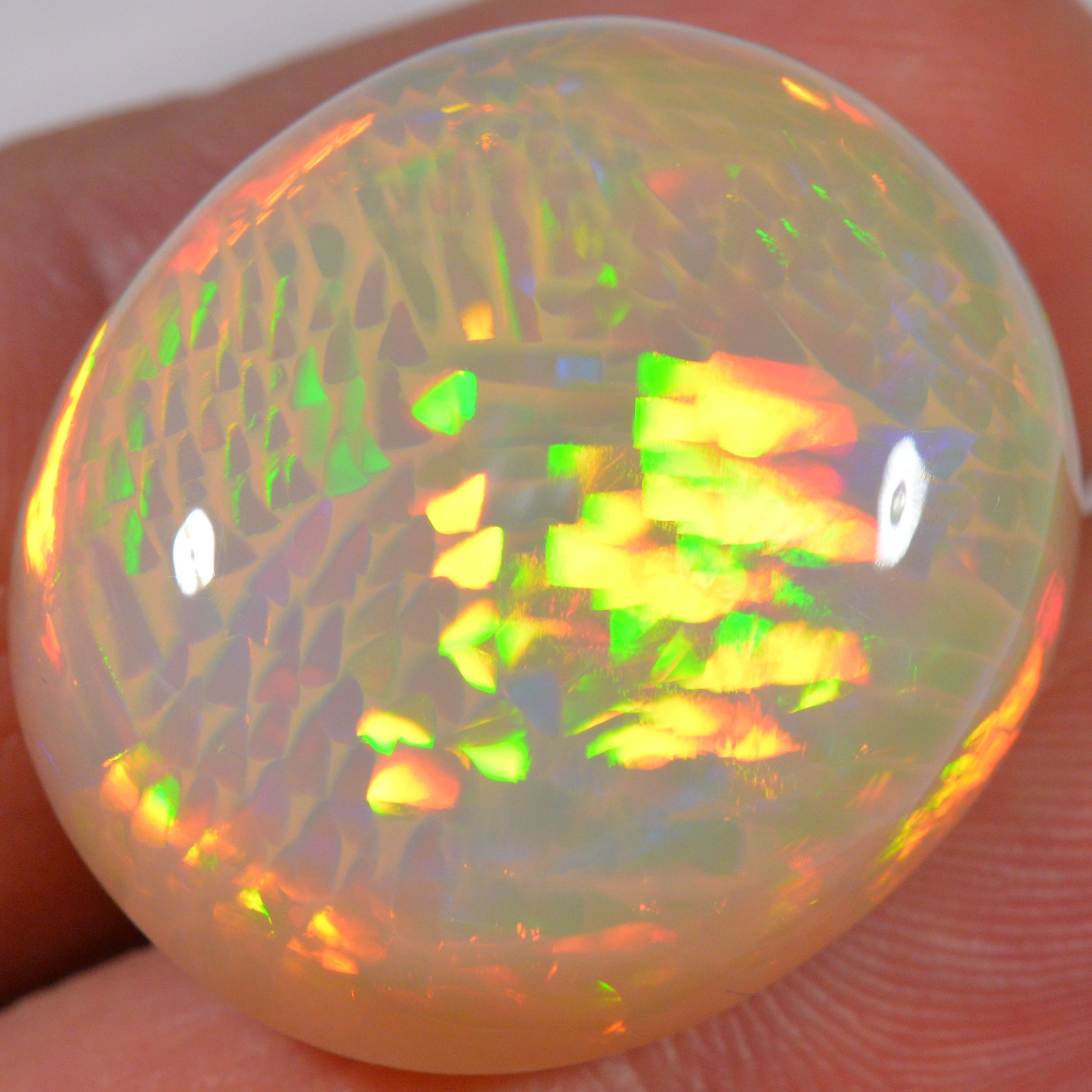 39.9 Karat - Riesiger Äthiopischer Welo Opal mit Fishscale Pattern - DeinOpal