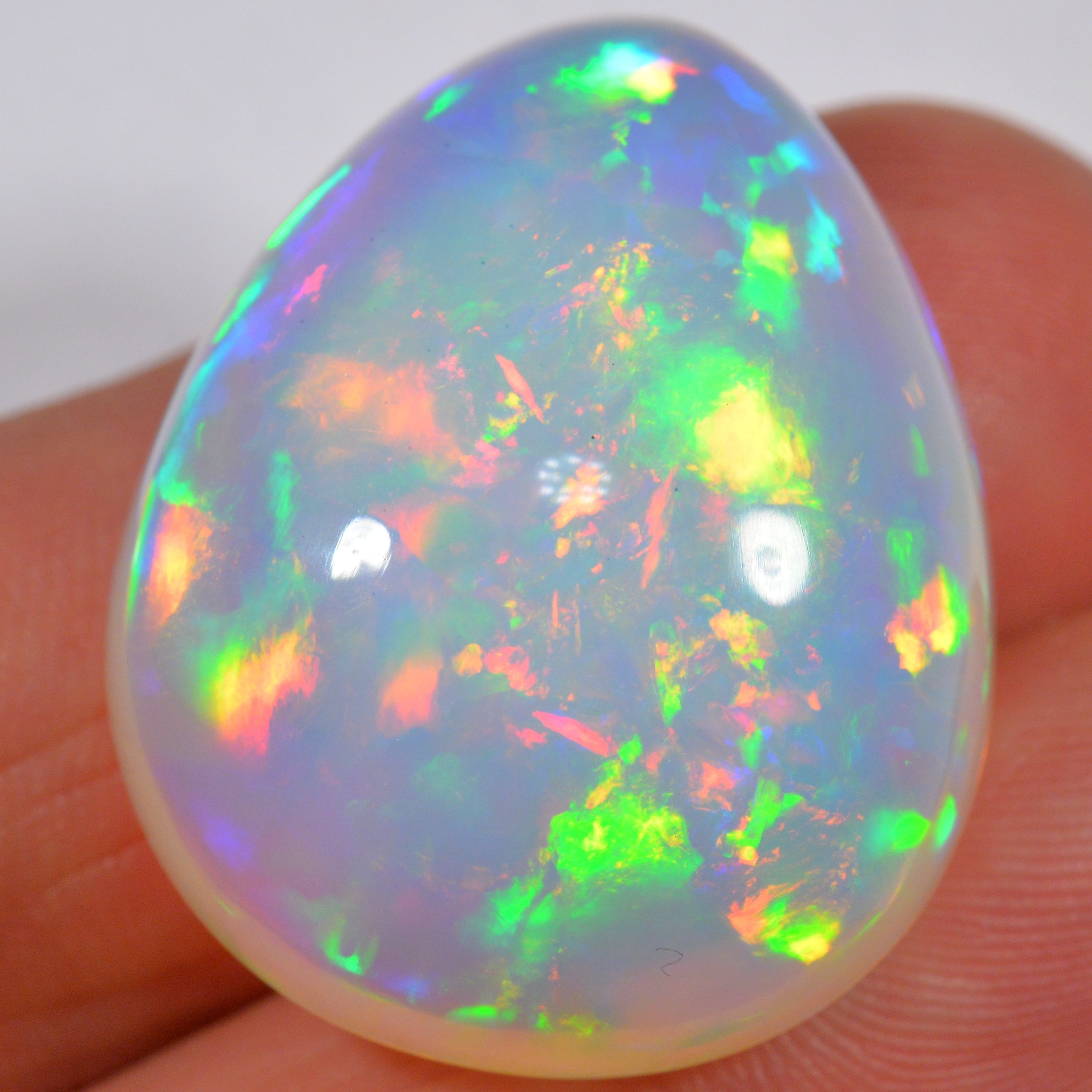 54.2 Karat - Wunderbarer risieger Welo Opal - DeinOpal