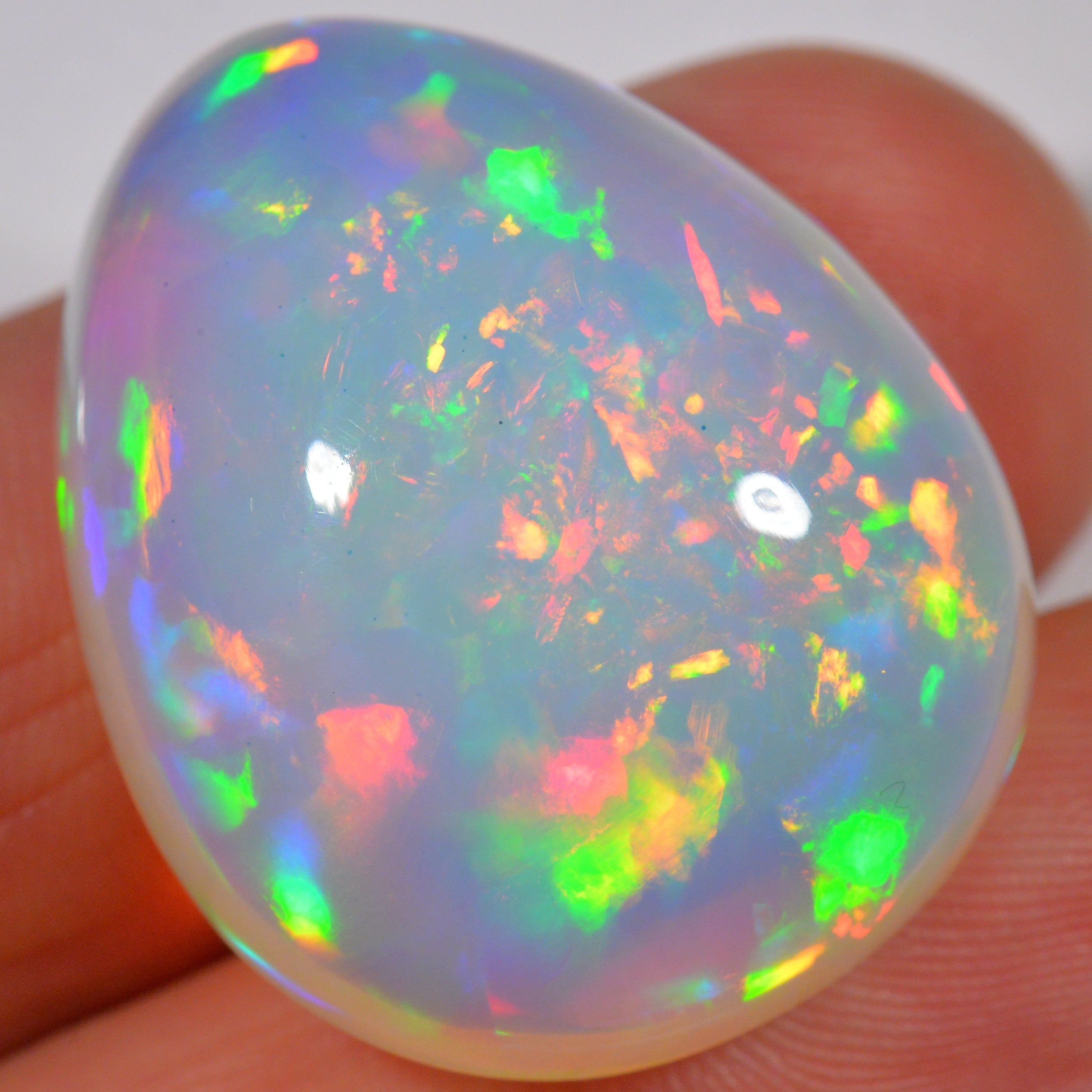 54.2 Karat - Wunderbarer risieger Welo Opal - DeinOpal