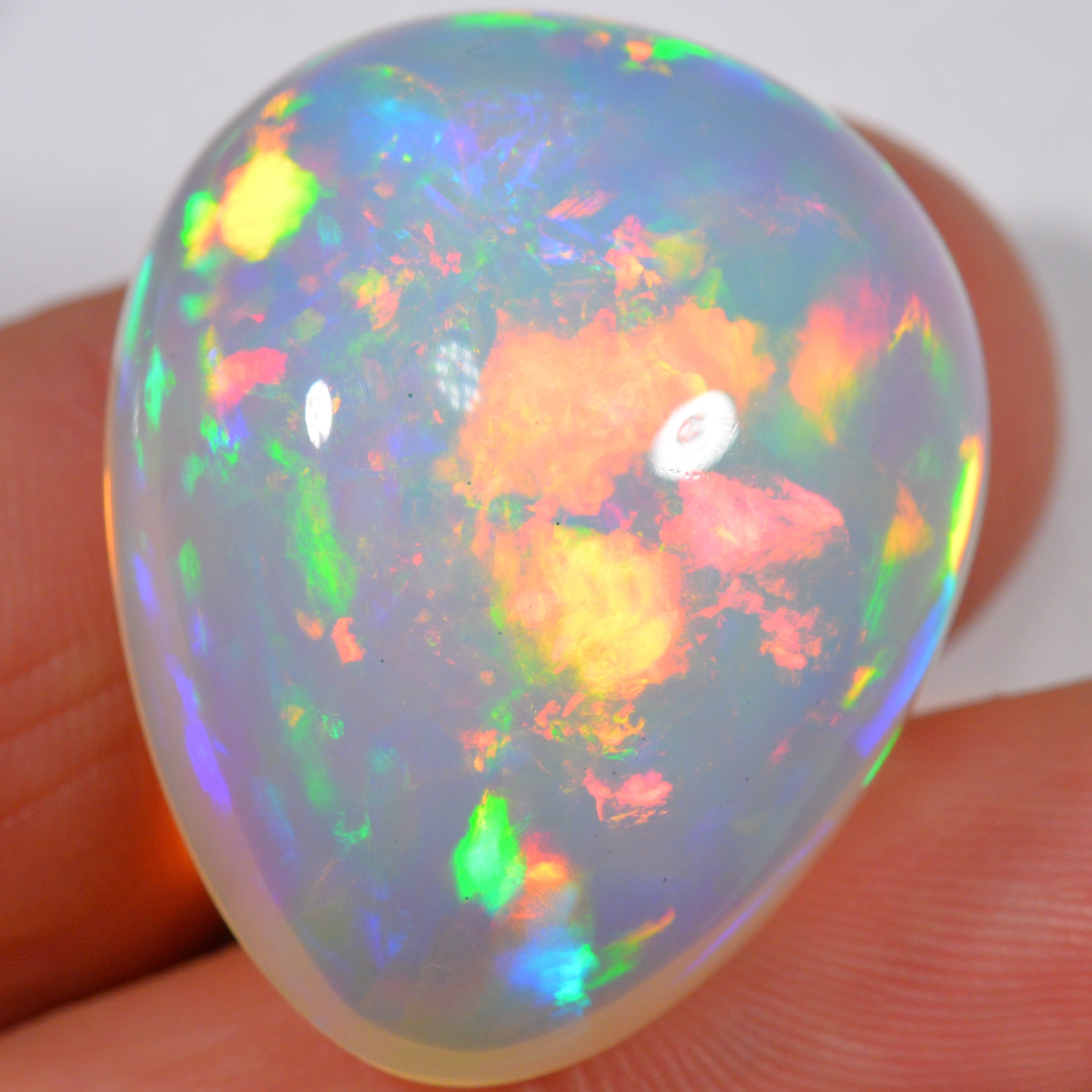 54.2 Karat - Wunderbarer risieger Welo Opal - DeinOpal