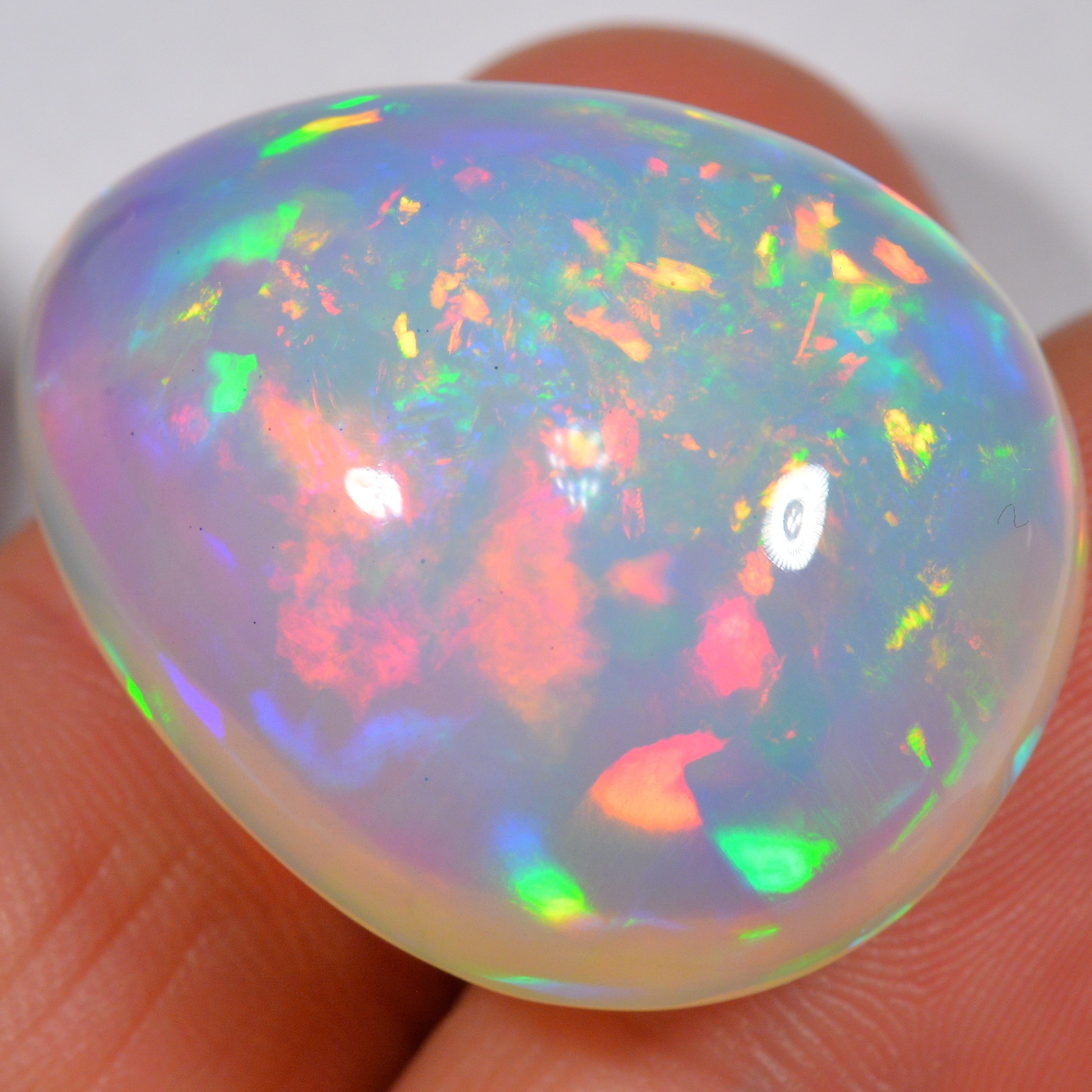 54.2 Karat - Wunderbarer risieger Welo Opal - DeinOpal