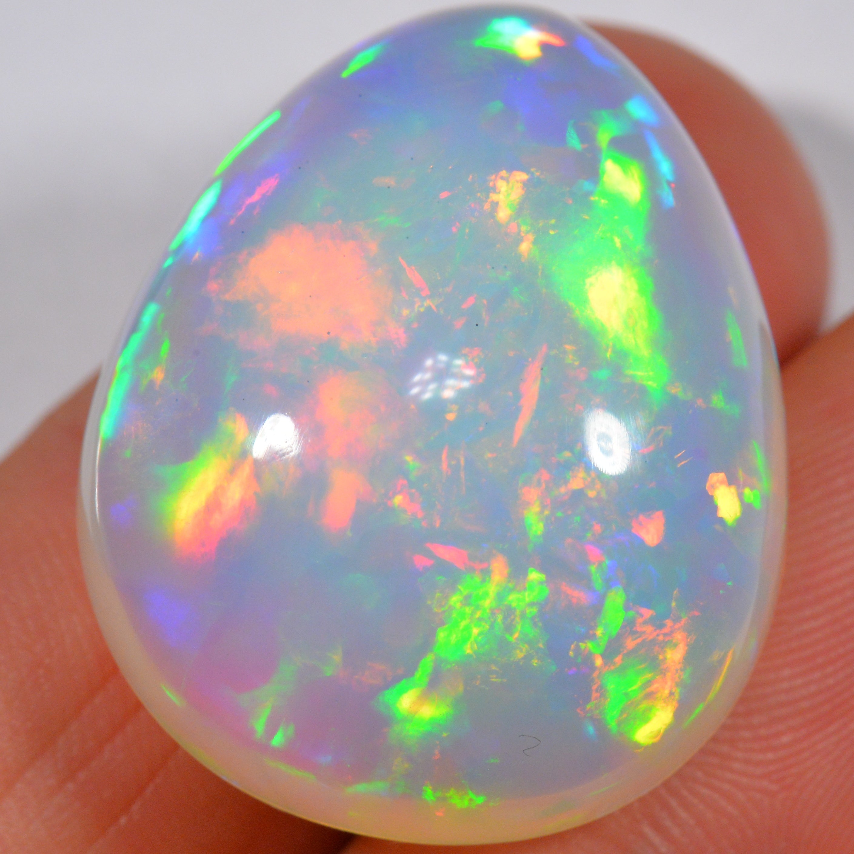 54.2 Karat - Wunderbarer risieger Welo Opal - DeinOpal