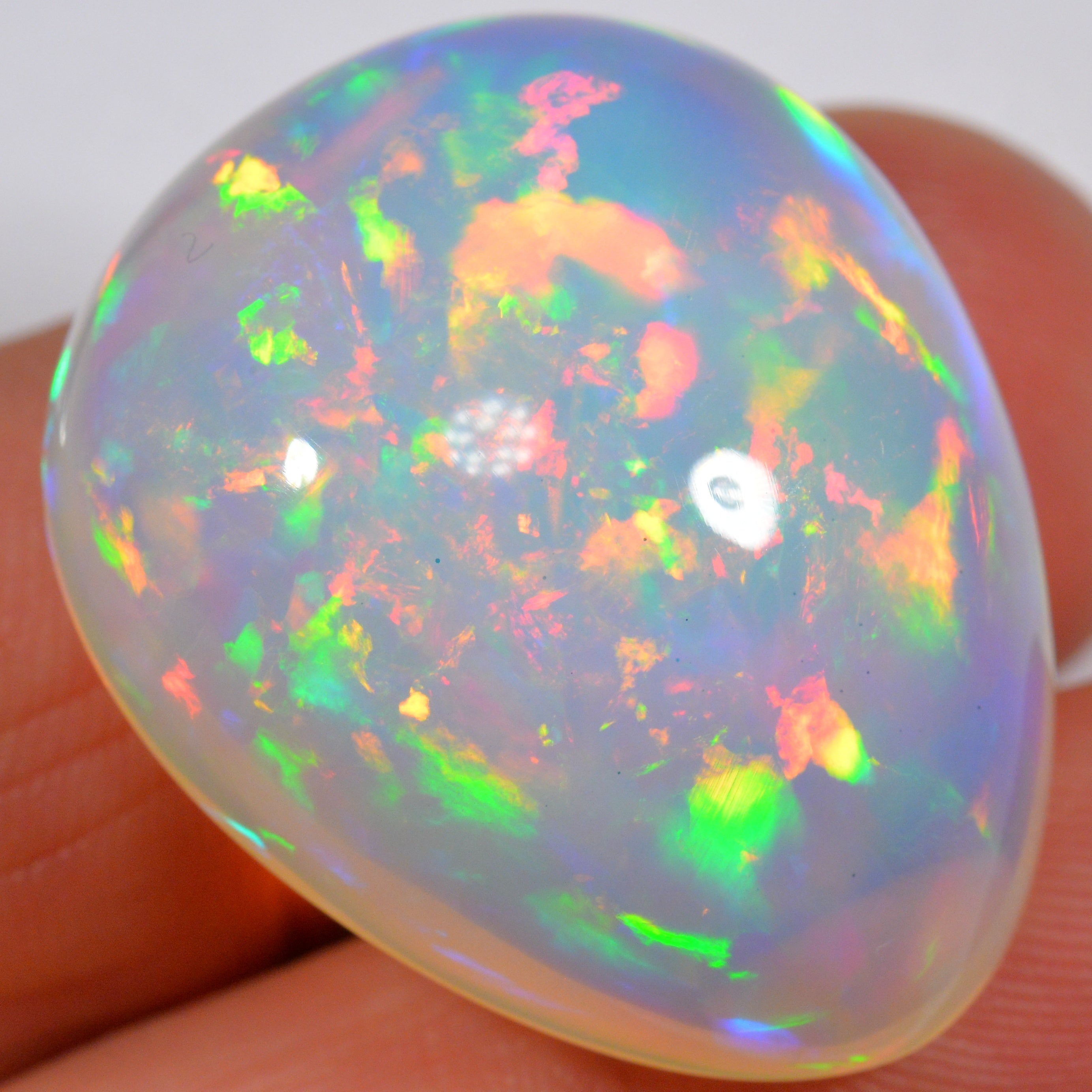 54.2 Karat - Wunderbarer risieger Welo Opal - DeinOpal