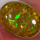 7.8 Karat - Seltener brauner Äthiopischer Welo Opal - DeinOpal