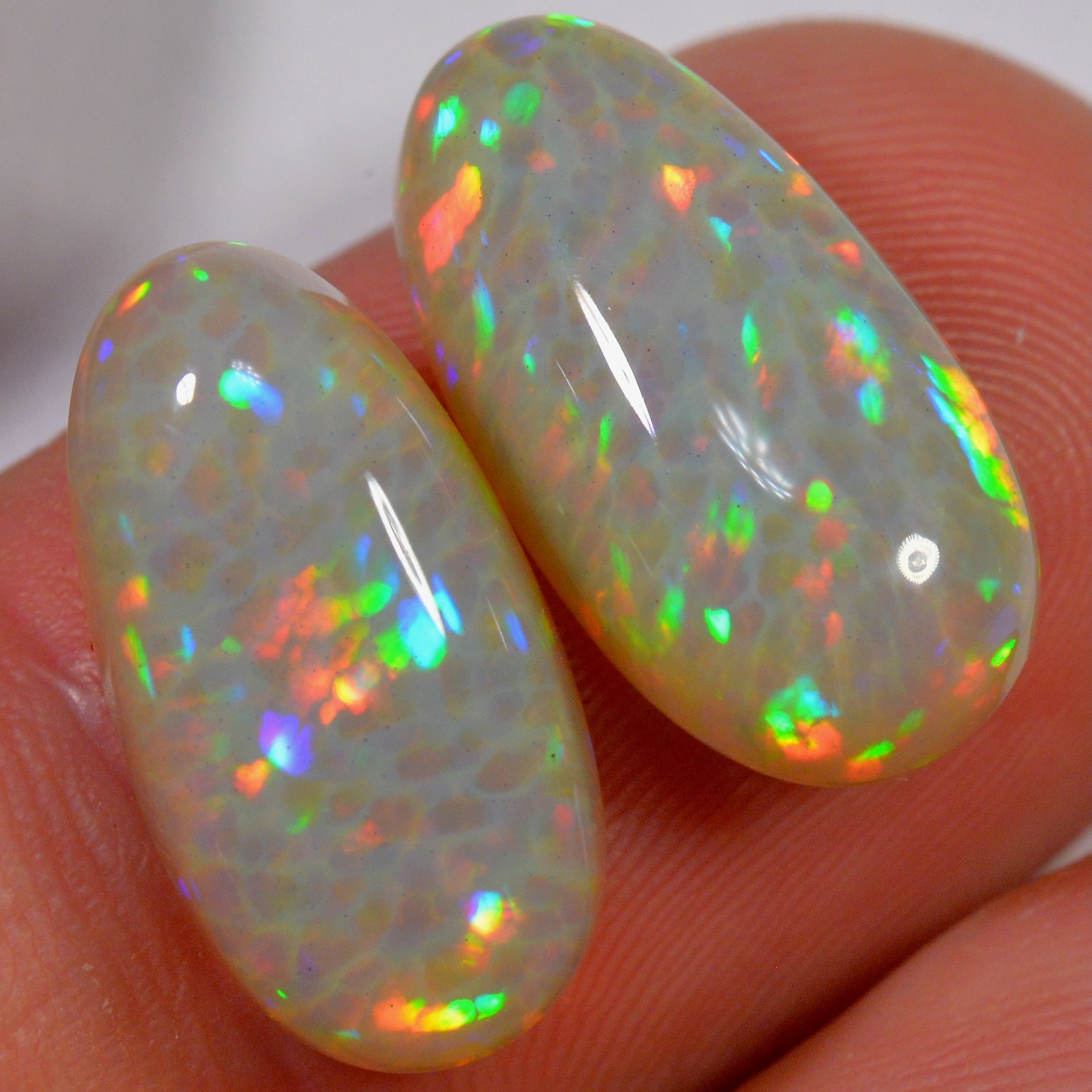 11.7 Karat - Helles Äthiopischer Welo Opal Paar mit Zellenmuster - DeinOpal