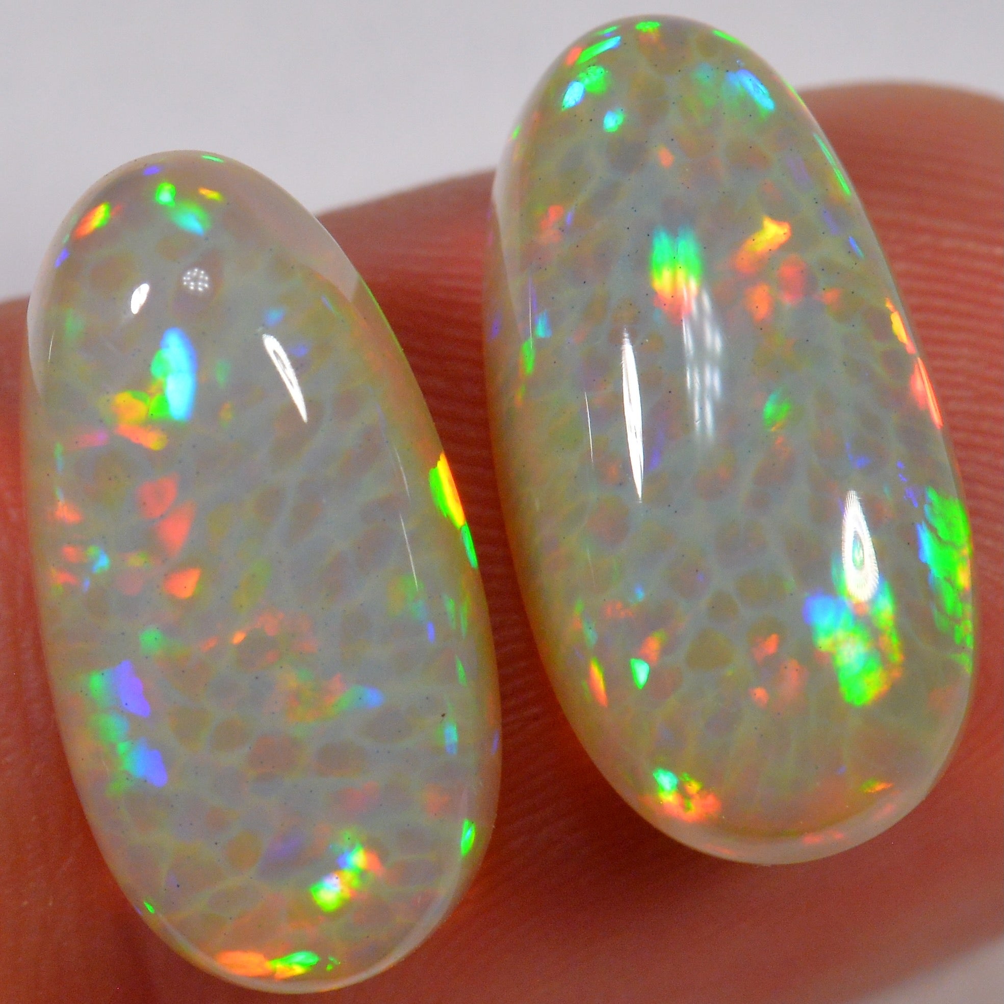 11.7 Karat - Helles Äthiopischer Welo Opal Paar mit Zellenmuster - DeinOpal