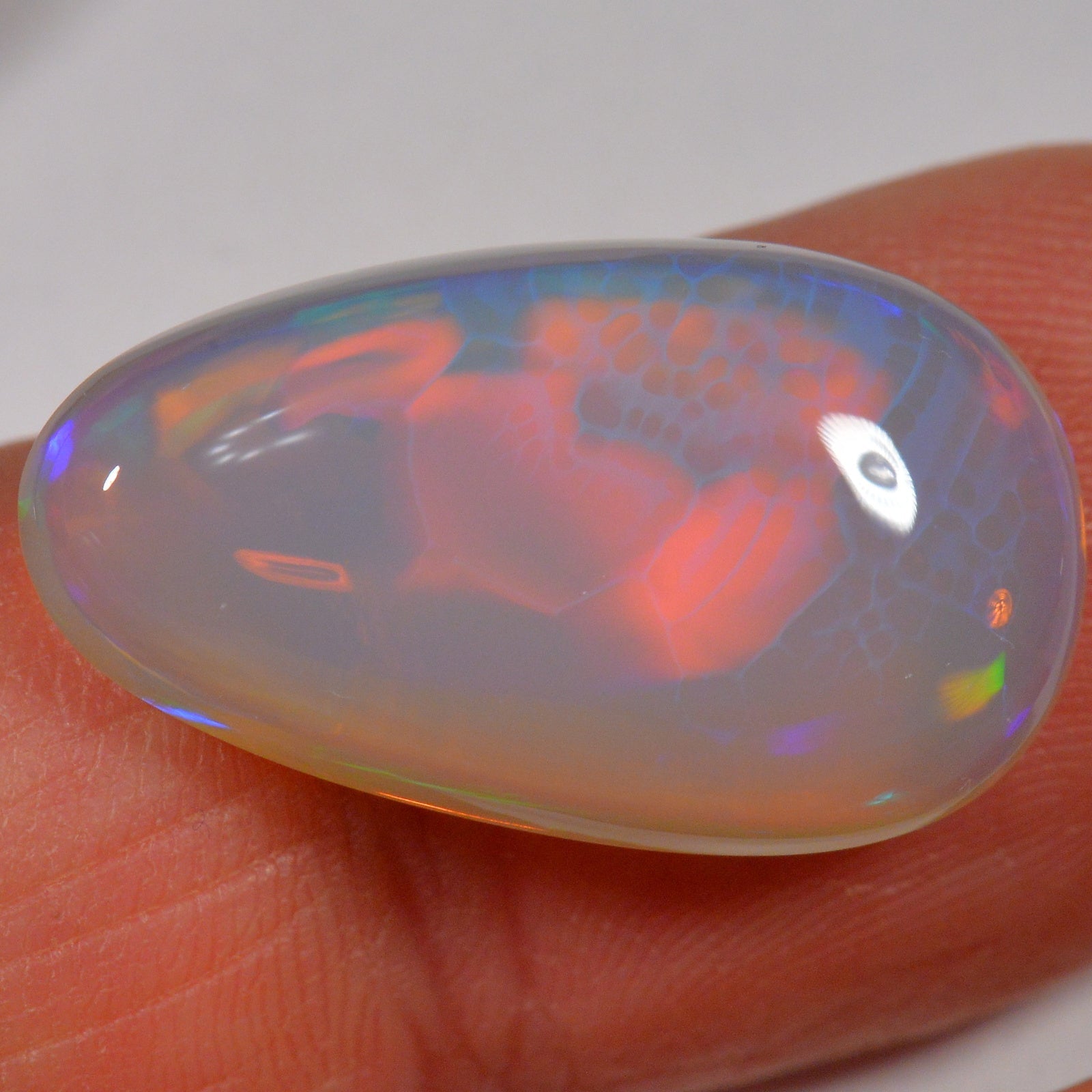 12 Karat - Äthiopischer Welo Opal - DeinOpal