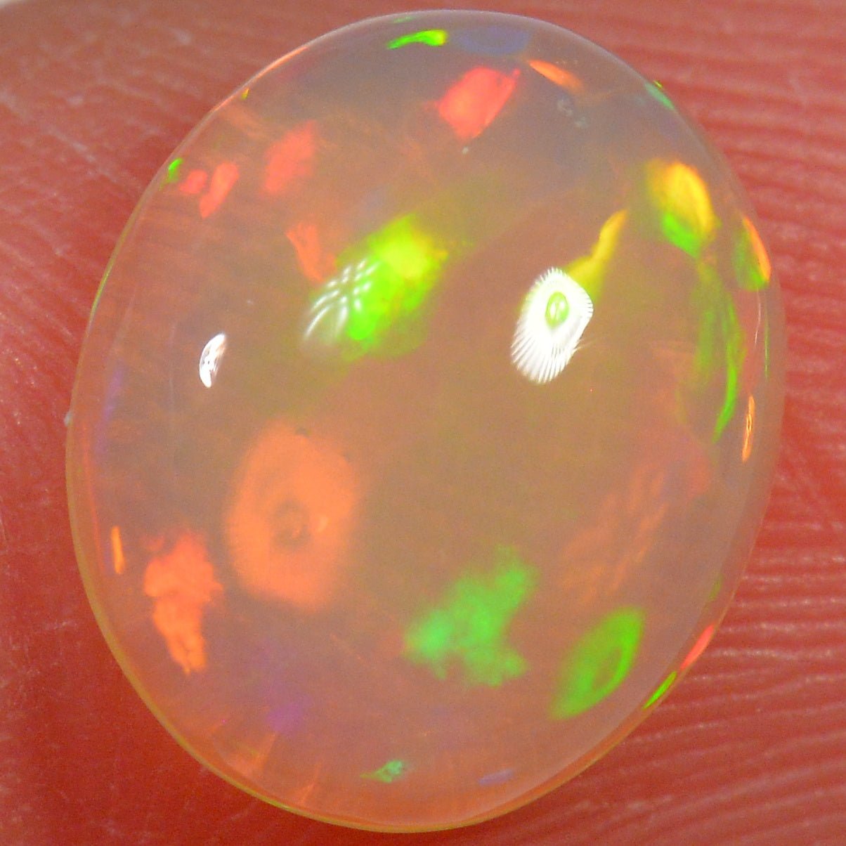 1.5 Karat - Äthiopischer Welo Opal - DeinOpal