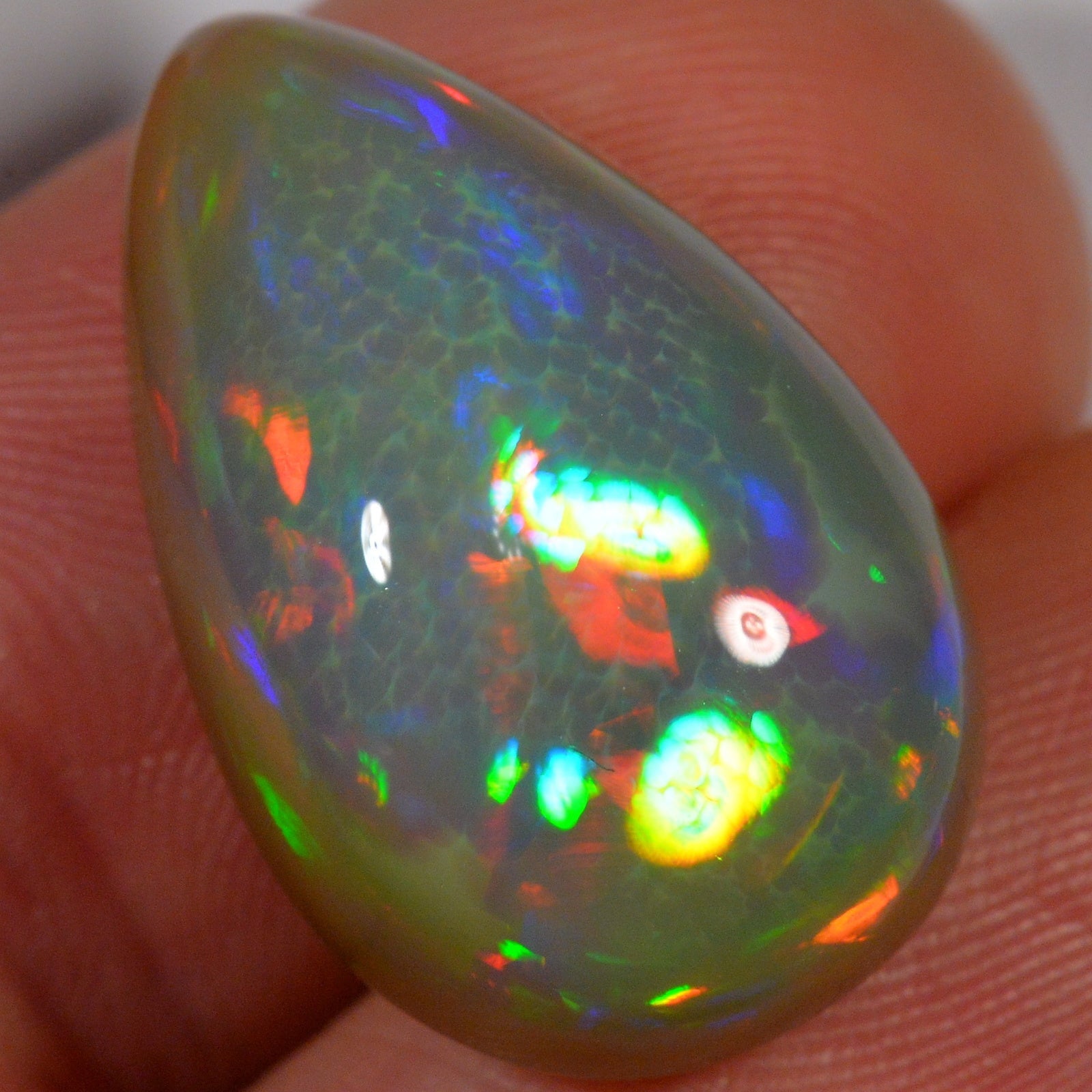 15.7 Karat - Äthiopischer Welo Opal - DeinOpal