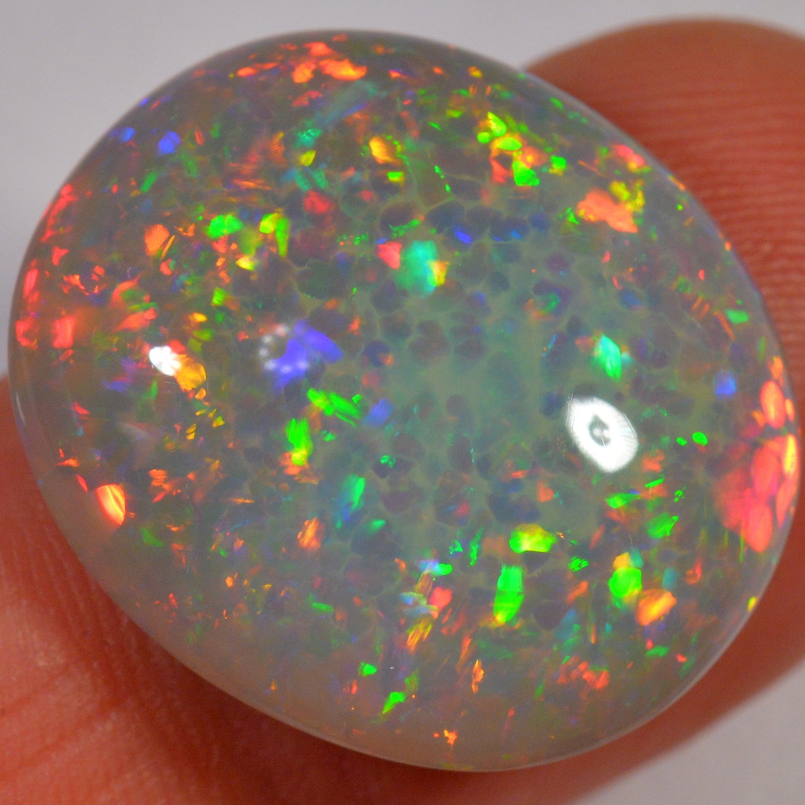 16.1 Carat Ethiopian Welo Opal — natural untreated Ethiopian Welo opal