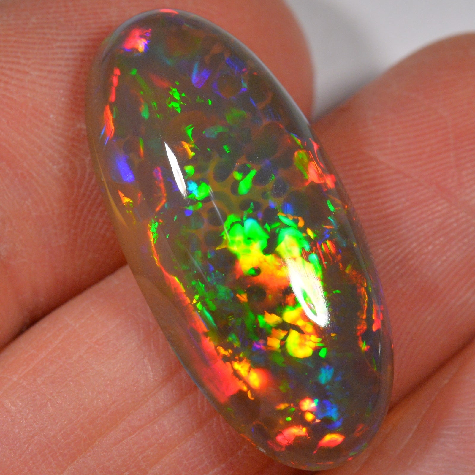 16.8 Carat Ethiopian Welo Opal — natural untreated Ethiopian Welo opal