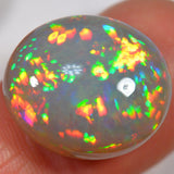 17.1 Karat - Atemberaubender Dunkler Äthiopischer Welo Opal With Rainbows - DeinOpal