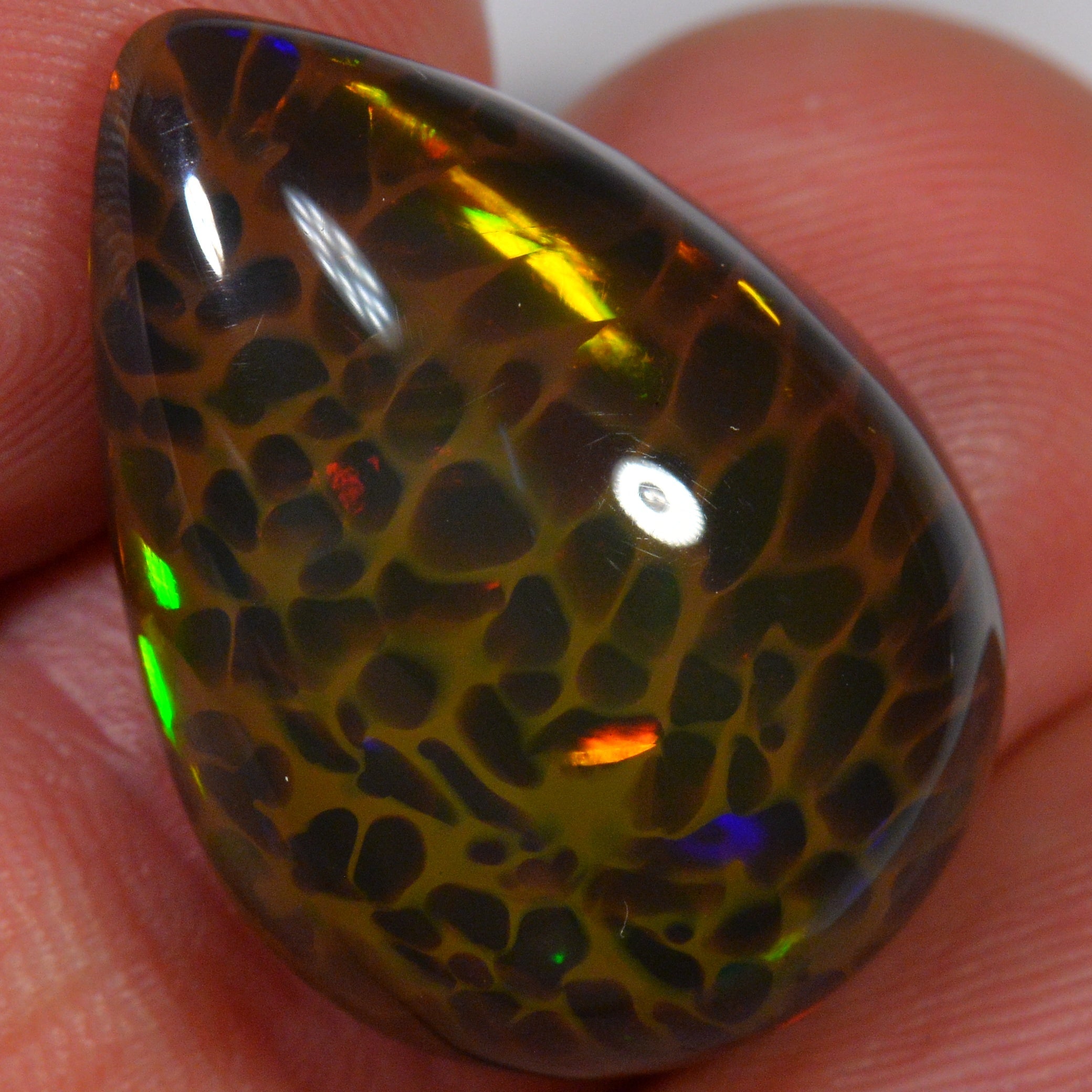 18.3 Karat - Natürlicher Dunkler Welo Opal von der Beska - Mine - DeinOpal