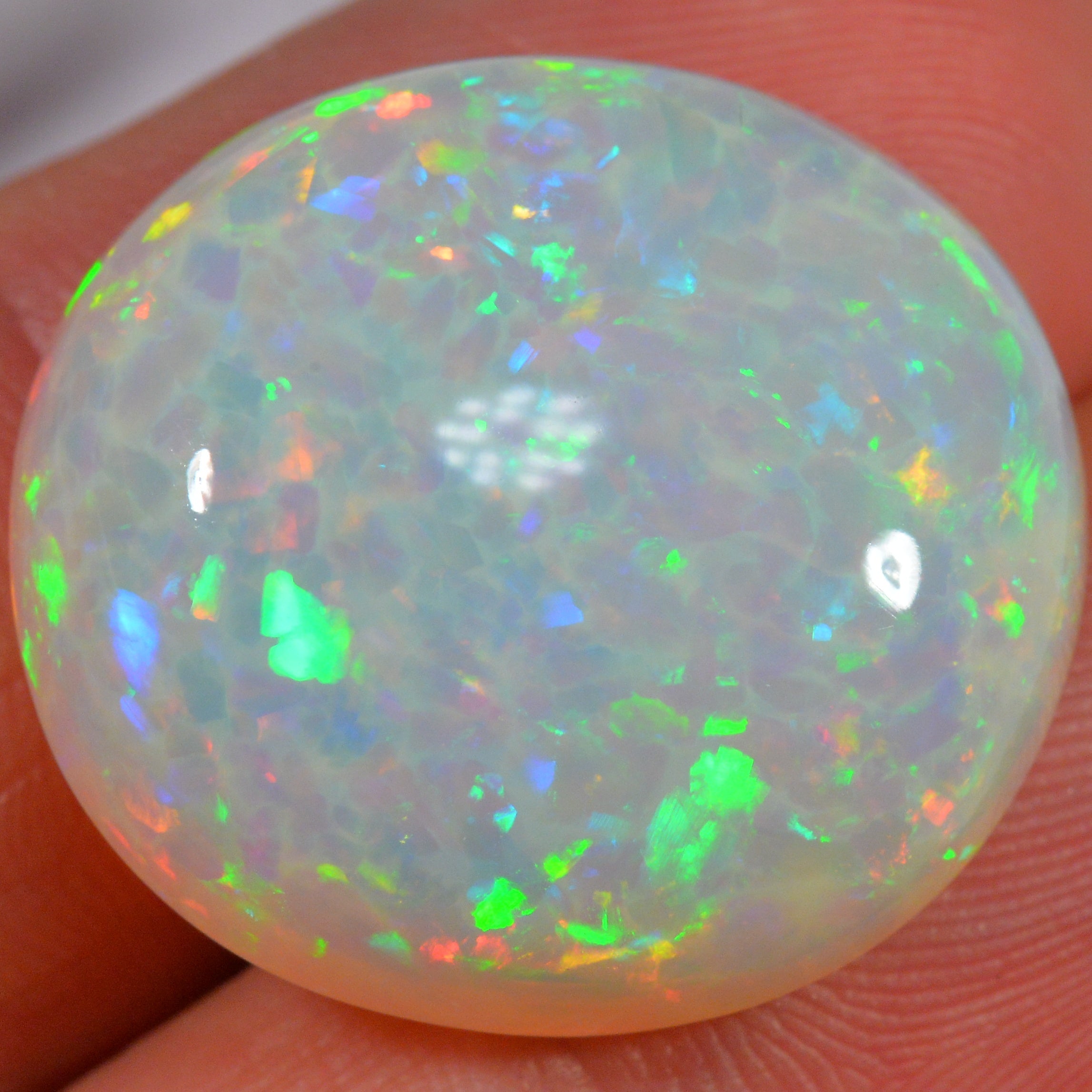 24.6 Karat - Farbintensiver Welo Opal mit Waben - Muster - DeinOpal