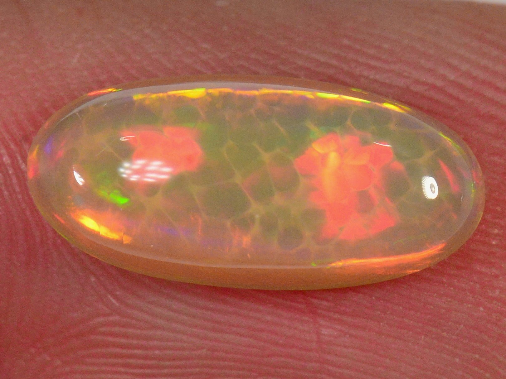 2.5 Karat - Ovaler Äthiopischer Welo Honeycomb Opal - DeinOpal