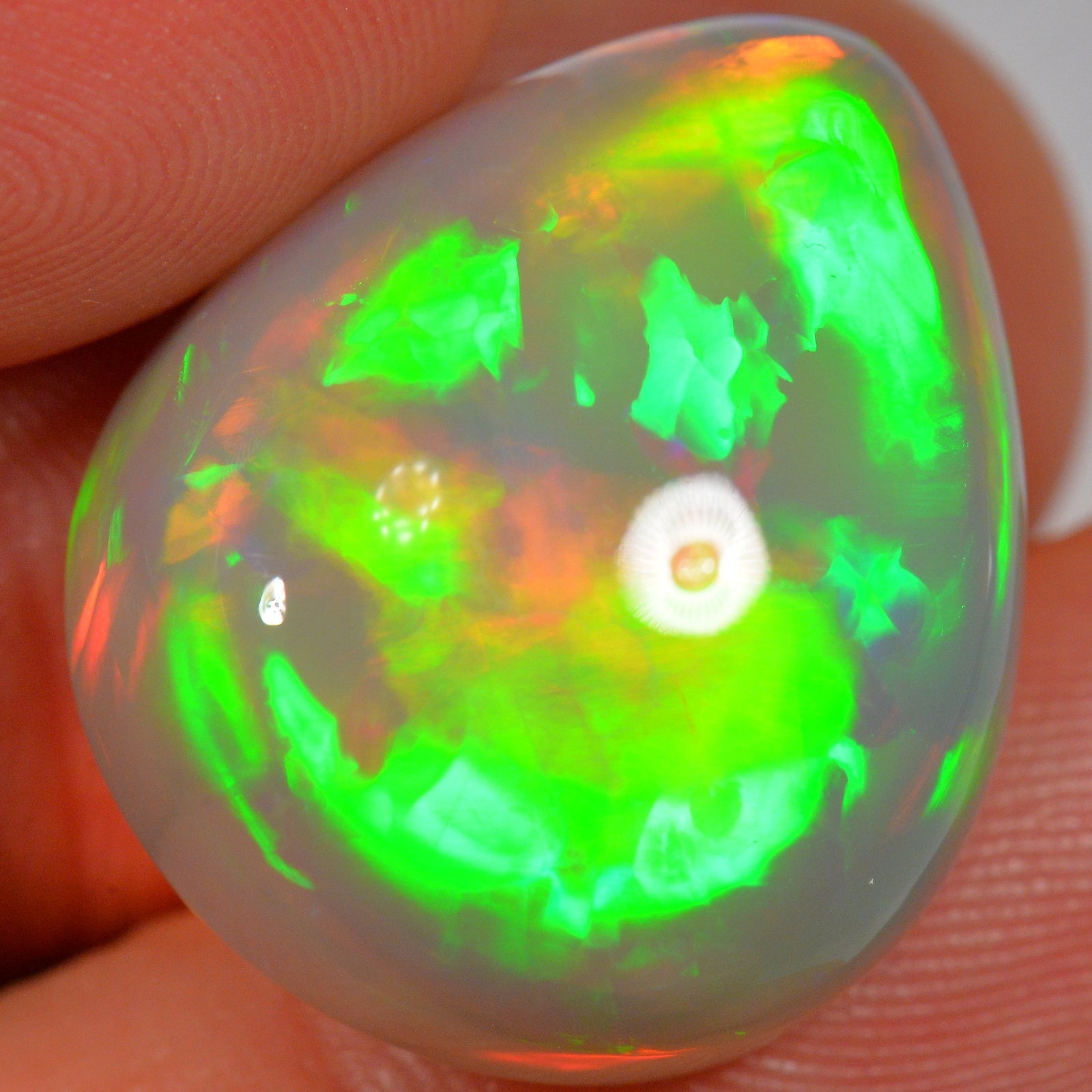28.9 Carat - Brilliant Broadflash - Dark Ethiopian Welo Opal — natural untreated Ethiopian Welo opal
