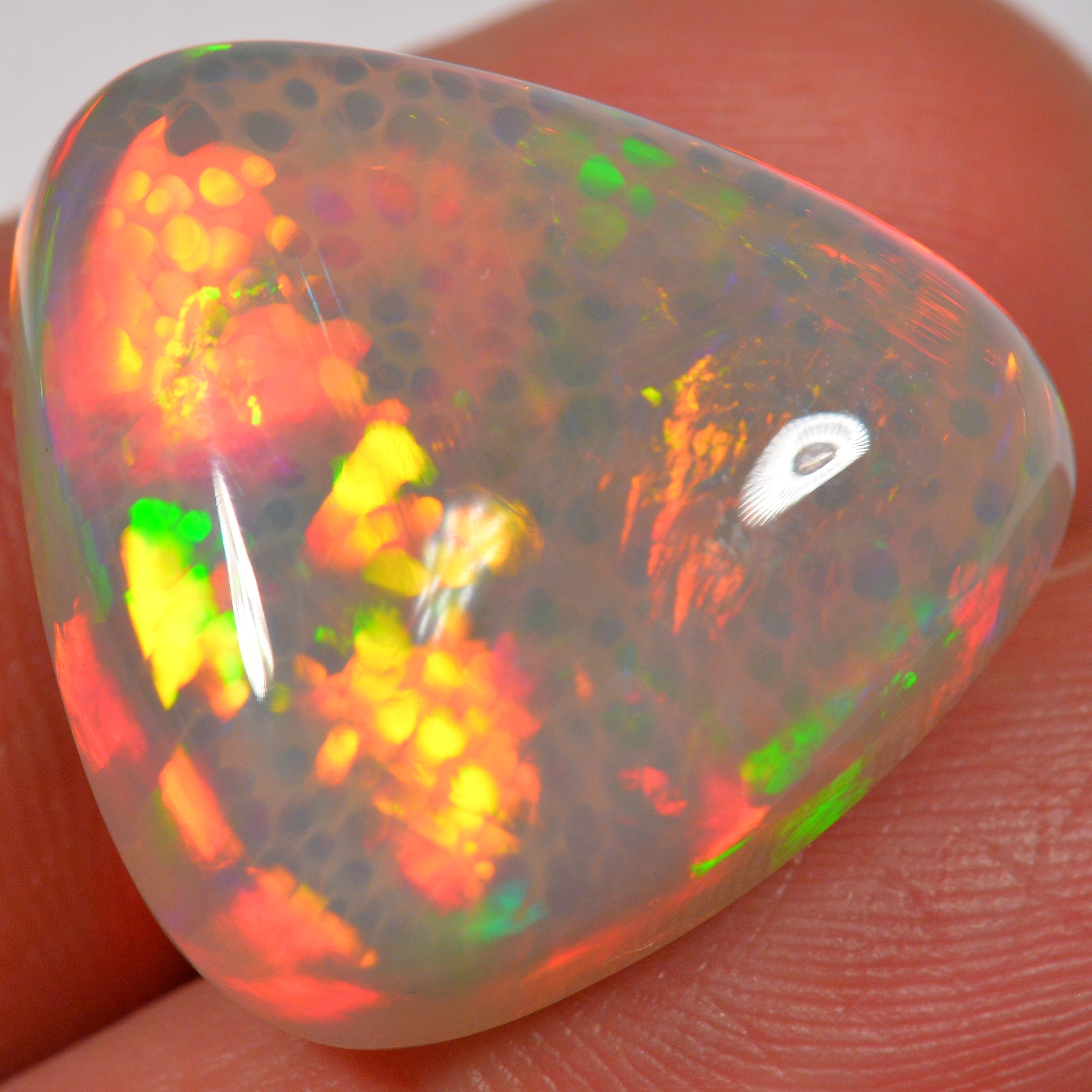 30.4 Karat - Äthiopischer Welo Opal - DeinOpal