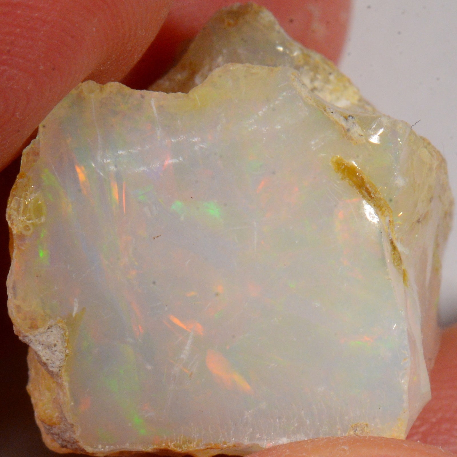31 Karat - Roher Äthiopischer Welo Opal - DeinOpal