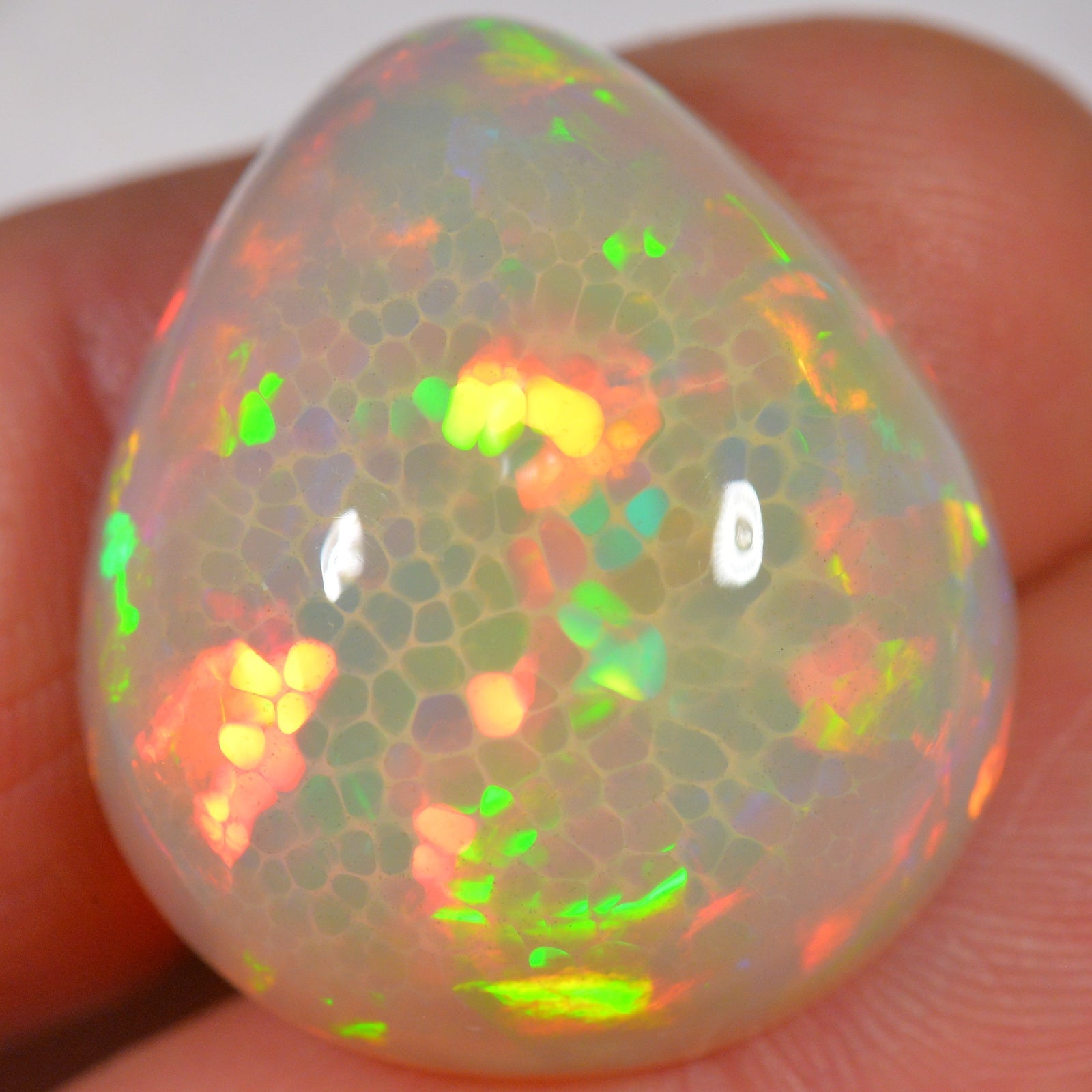 32.5 Karat - Big Brillanter Honeycomb Äthiopischer Welo Opal - DeinOpal