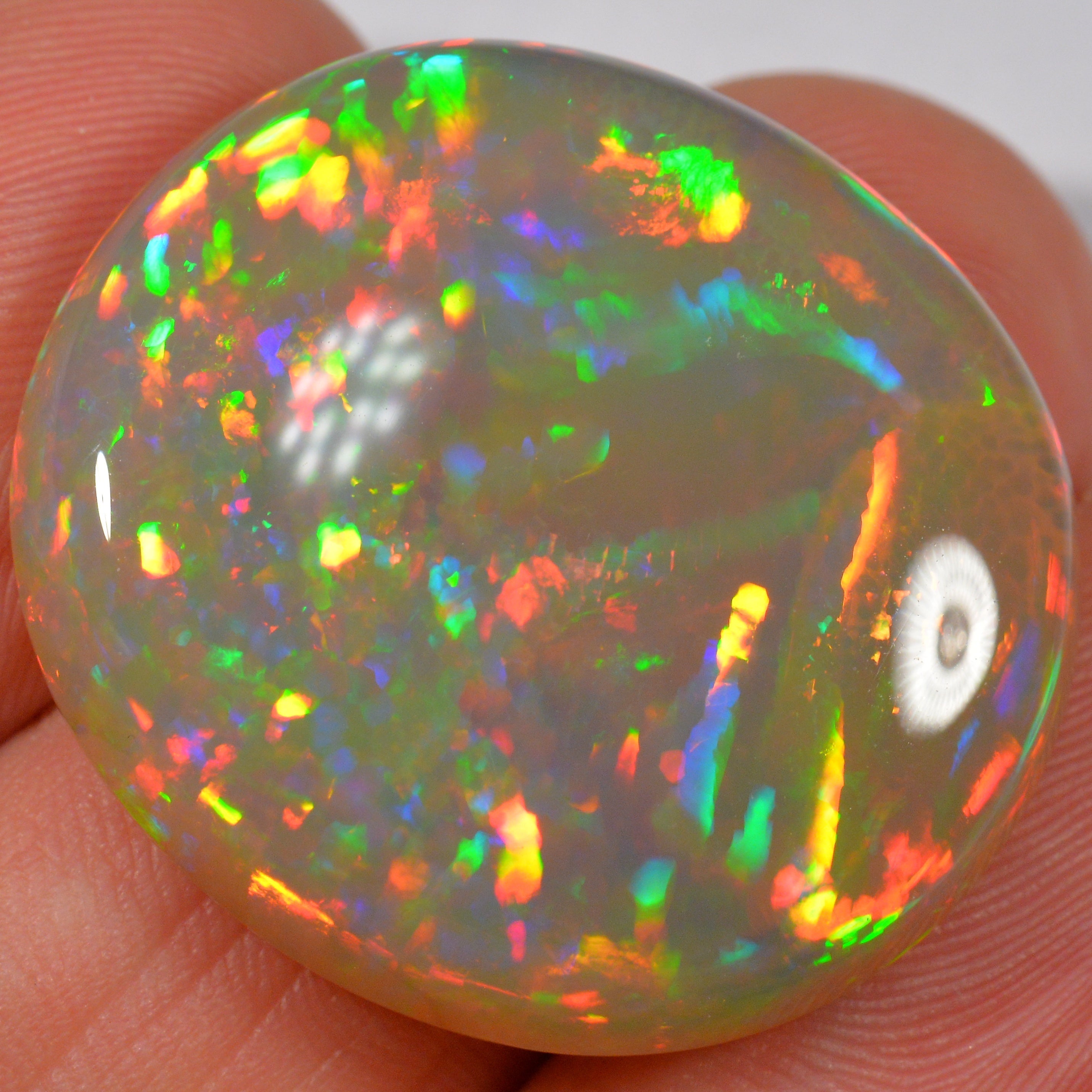 35.8 Karat - Wunderschöner Grosser Dunkler Welo Opal - DeinOpal